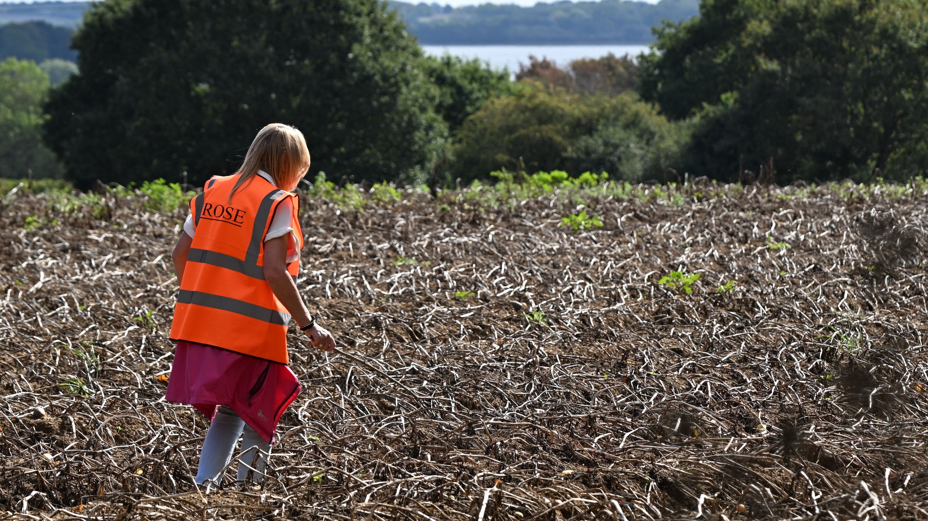 Police search Brantham for missing three-year-old Noah; no indication of criminality