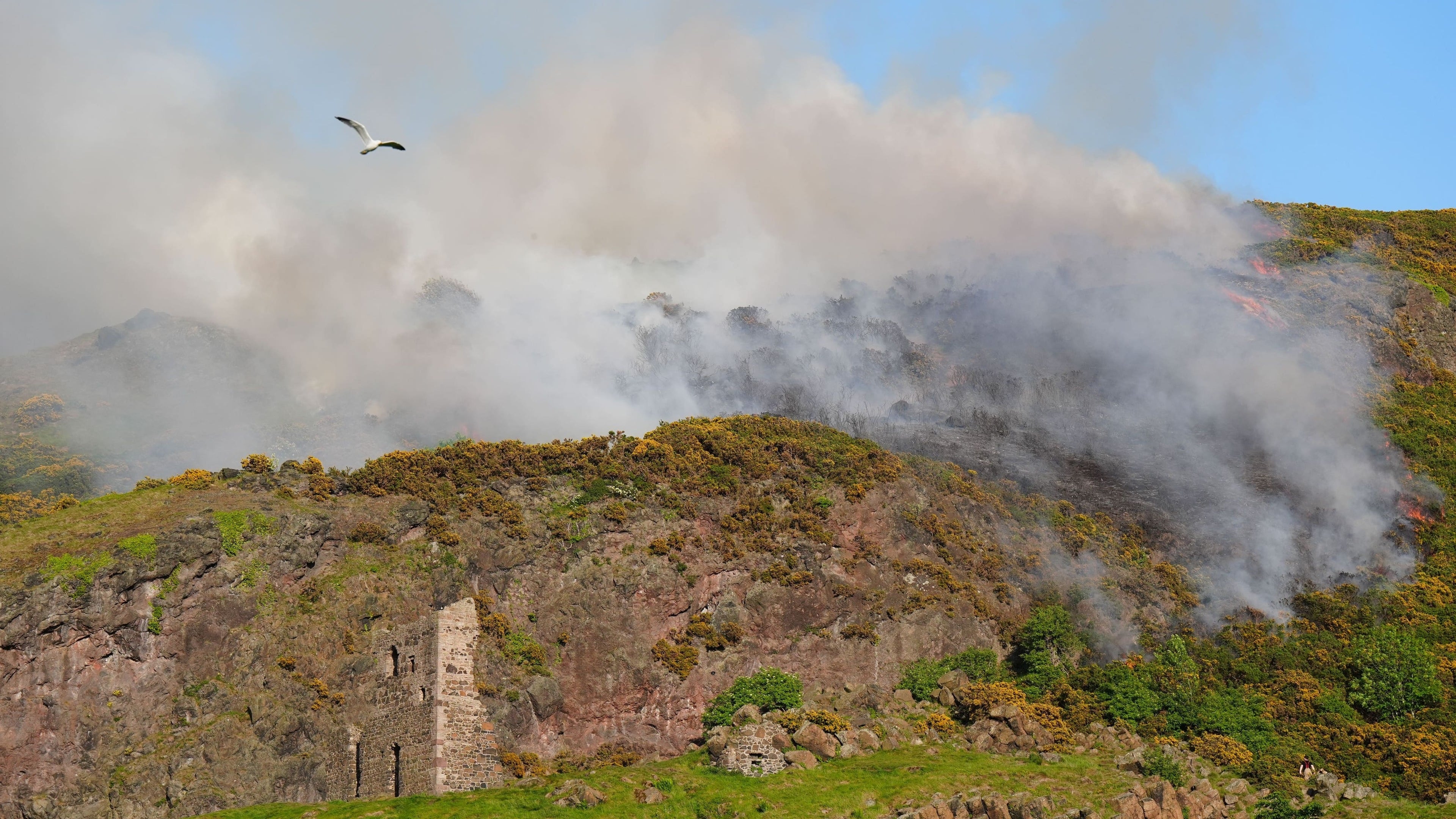 Grass fire near Arthur’s Seat sends plume of smoke over Edinburgh