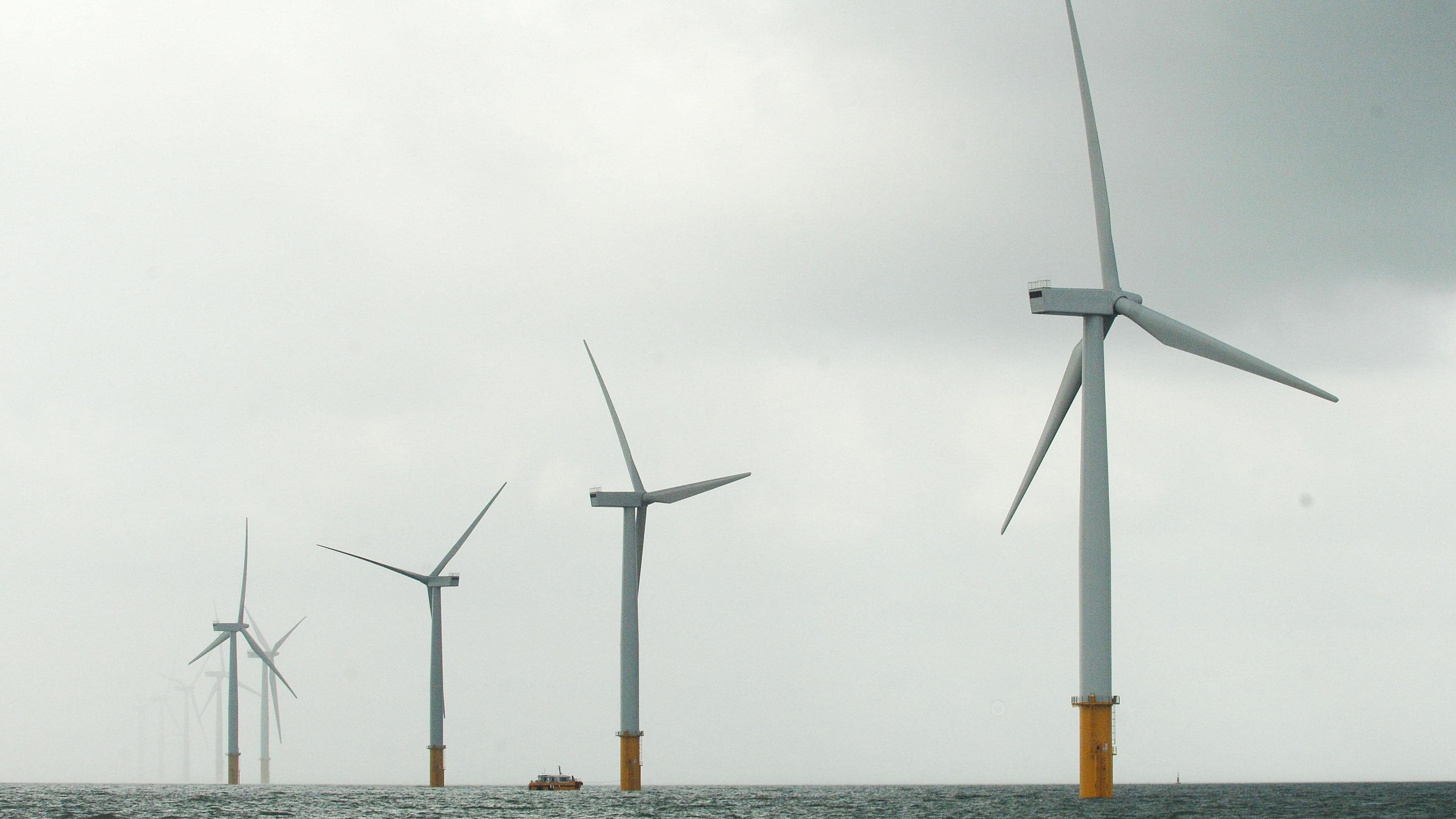 Research projects offshore wind could supply 11% of the North Sea by 2050