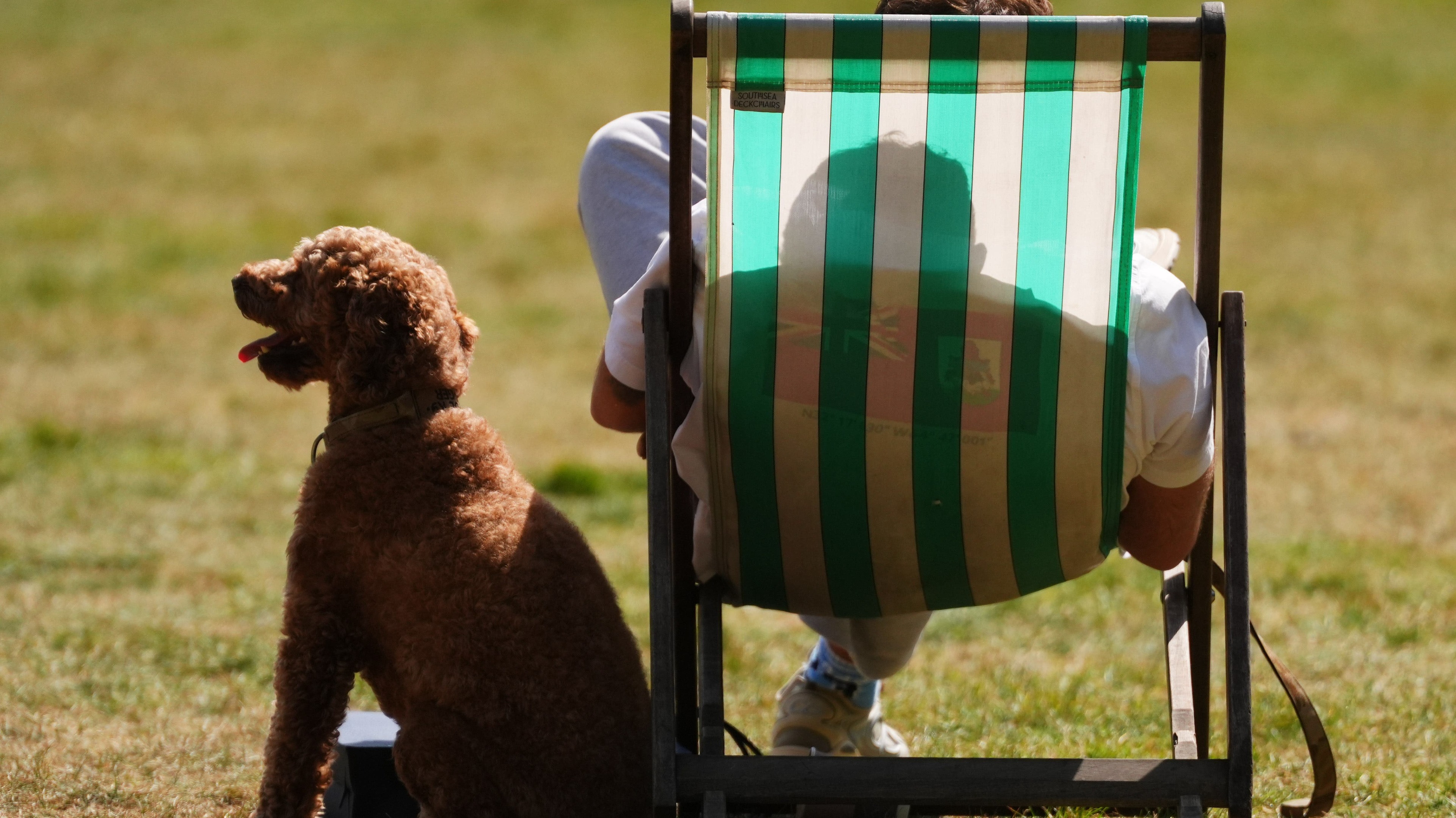 Warmest spring in England and Wales since records began