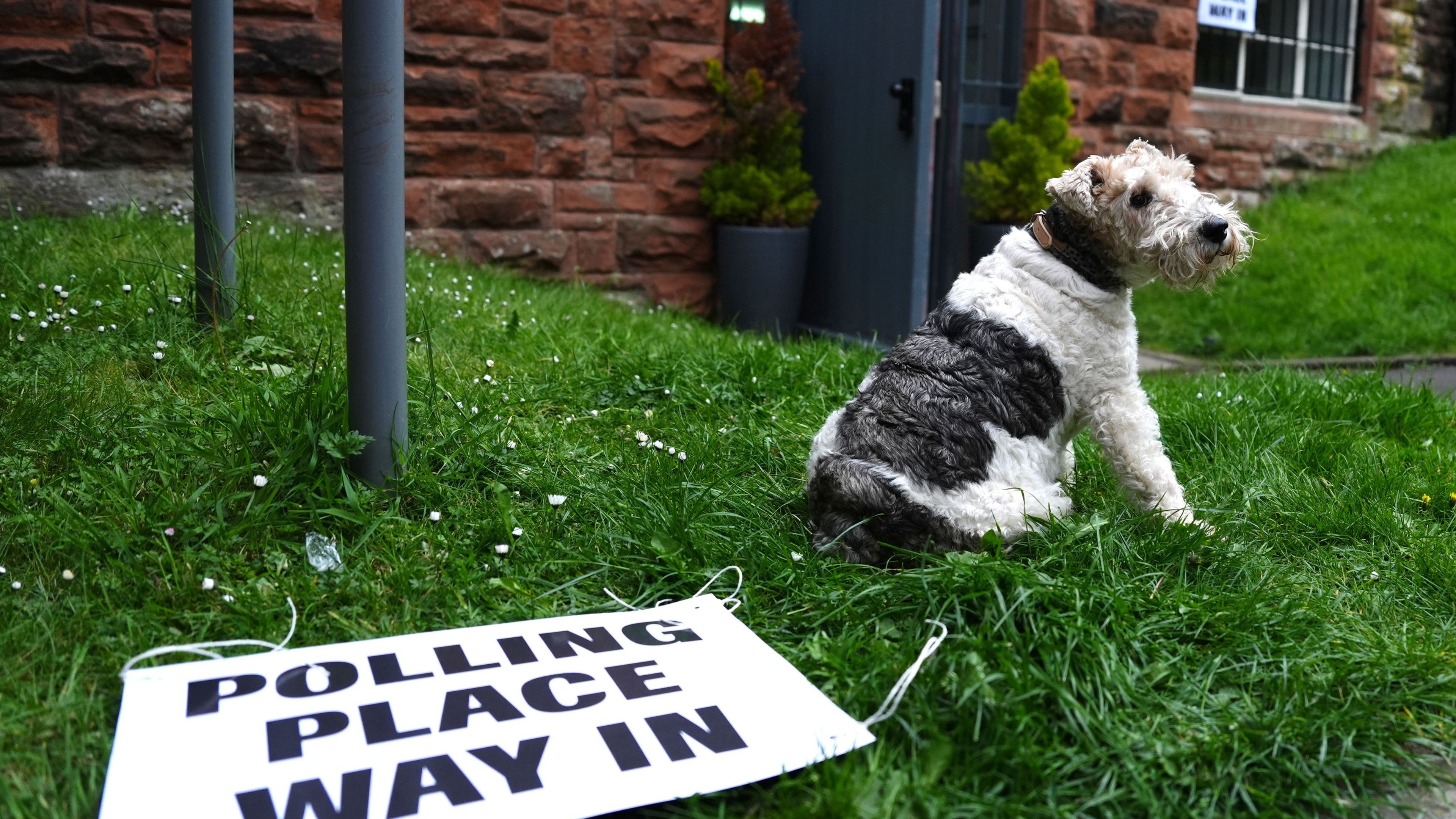 In Pictures: Major parties fearing ‘ruff’ results as dogs join owners to vote