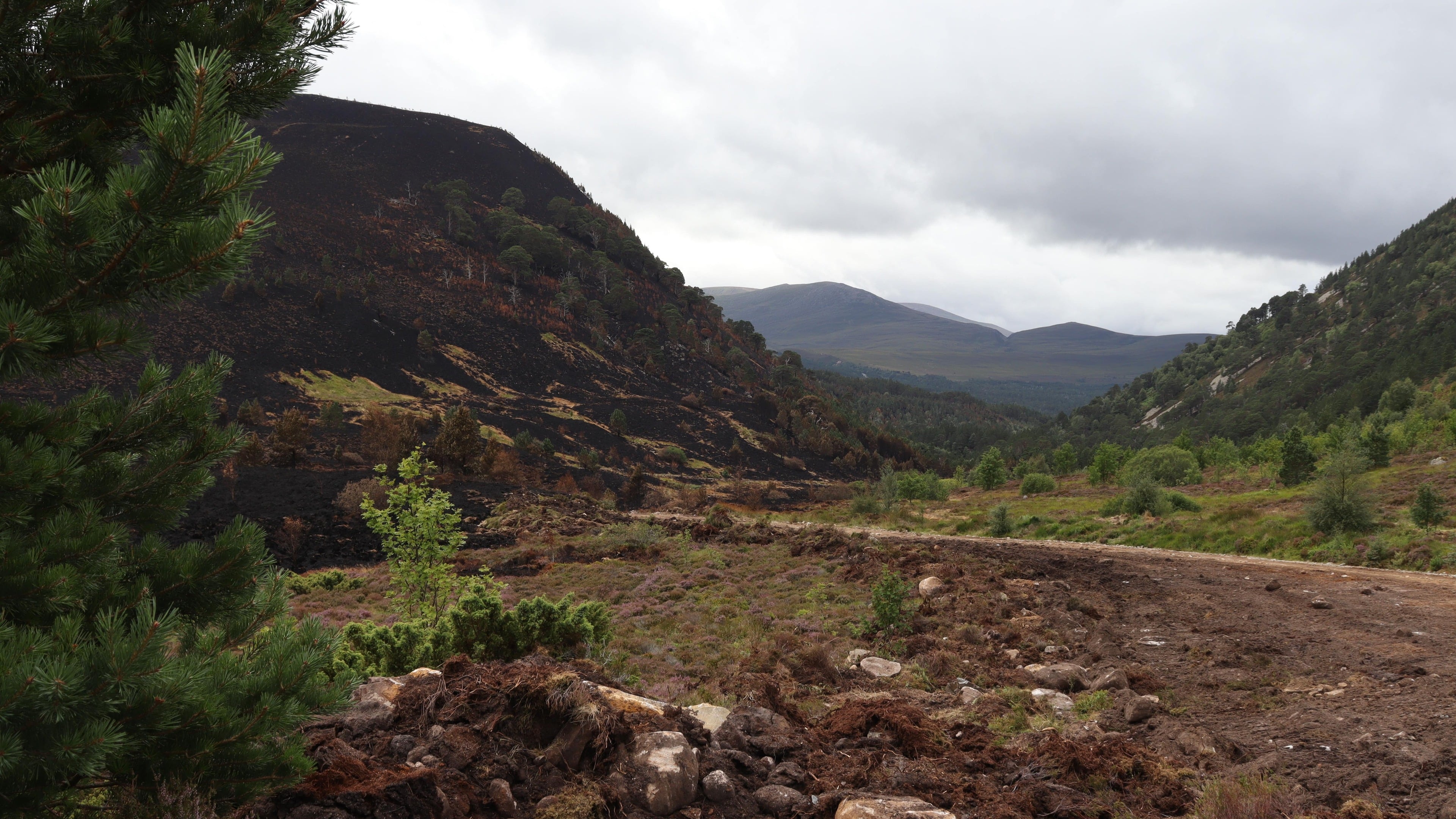 Part of wildfire cordon around Cairngorms village lifted