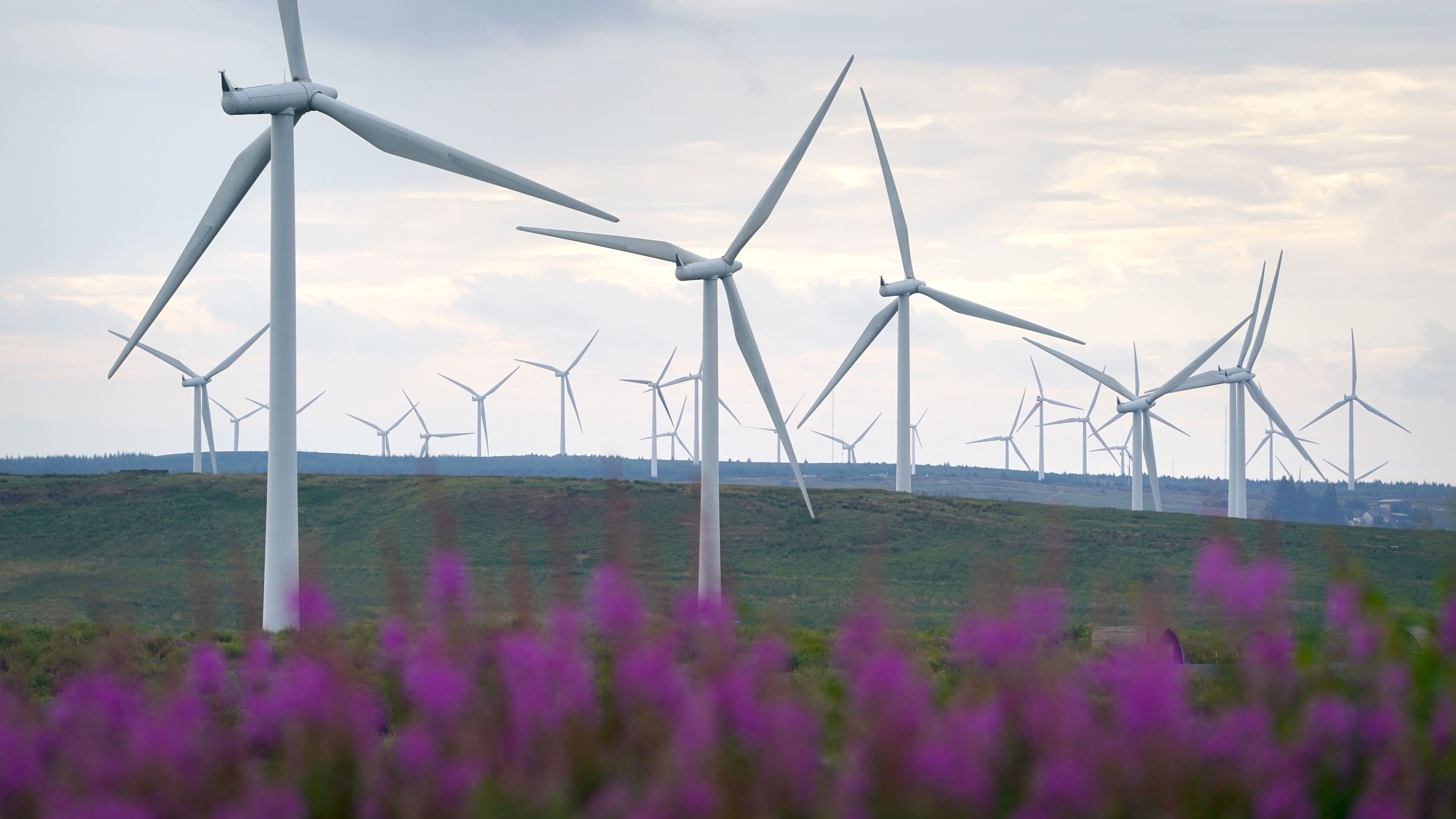 Clean power by 2030 target ‘extremely ambitious’, MPs warn