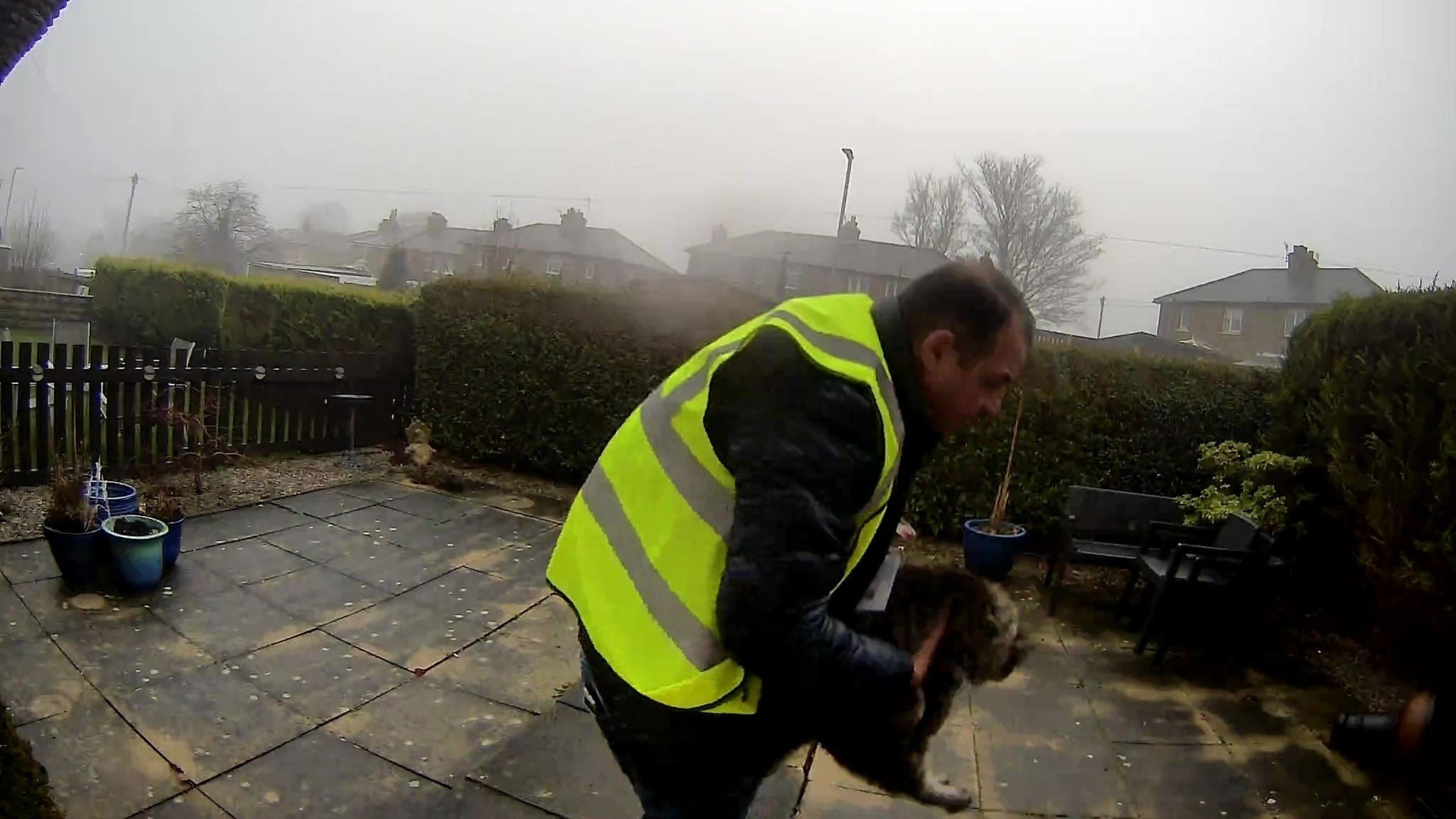 Delivery driver caught on doorbell camera taking pet cat from garden avoids jail