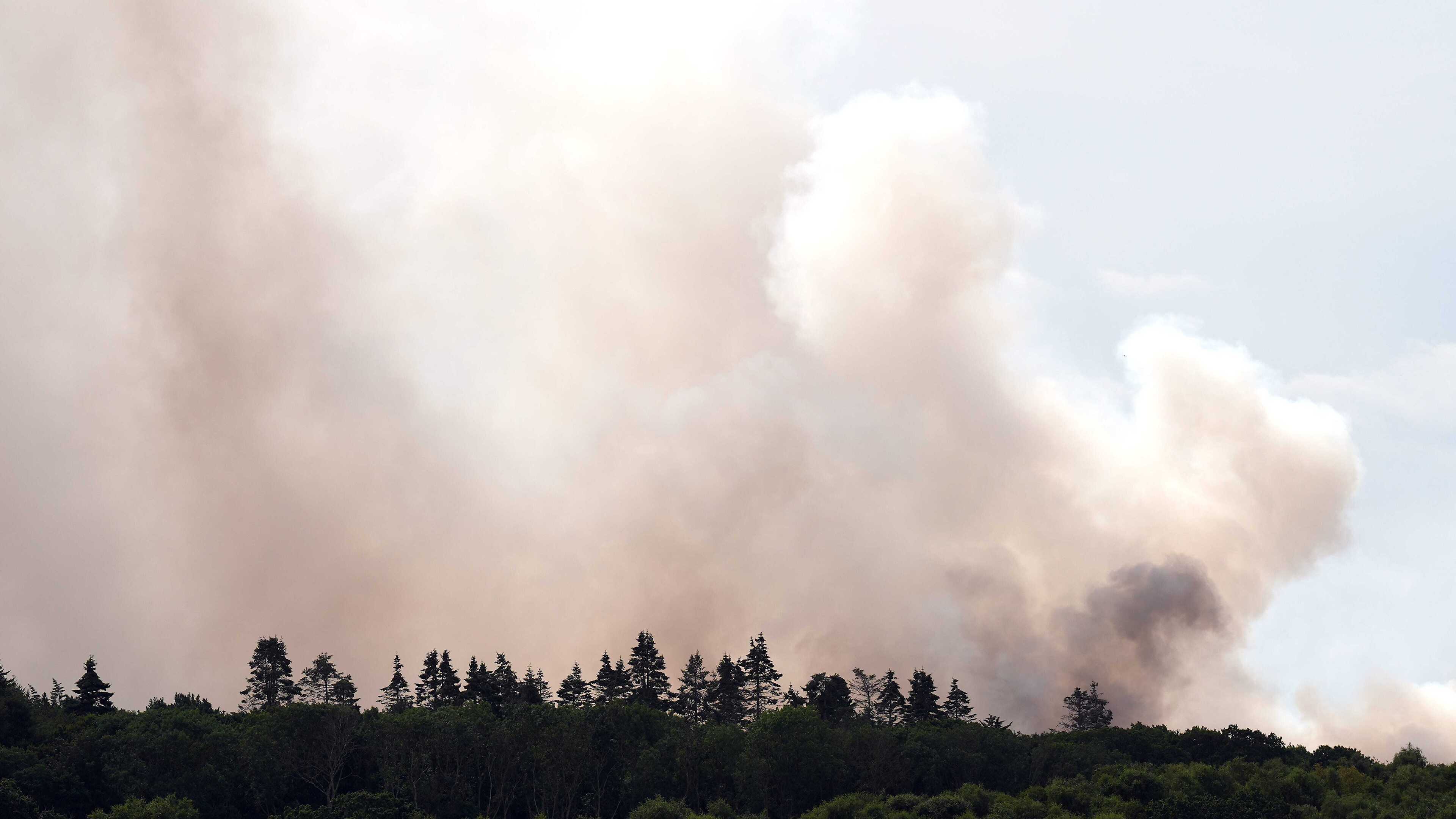 Whole of Wales in drought as UK battles heat, wildfires and extreme dry weather