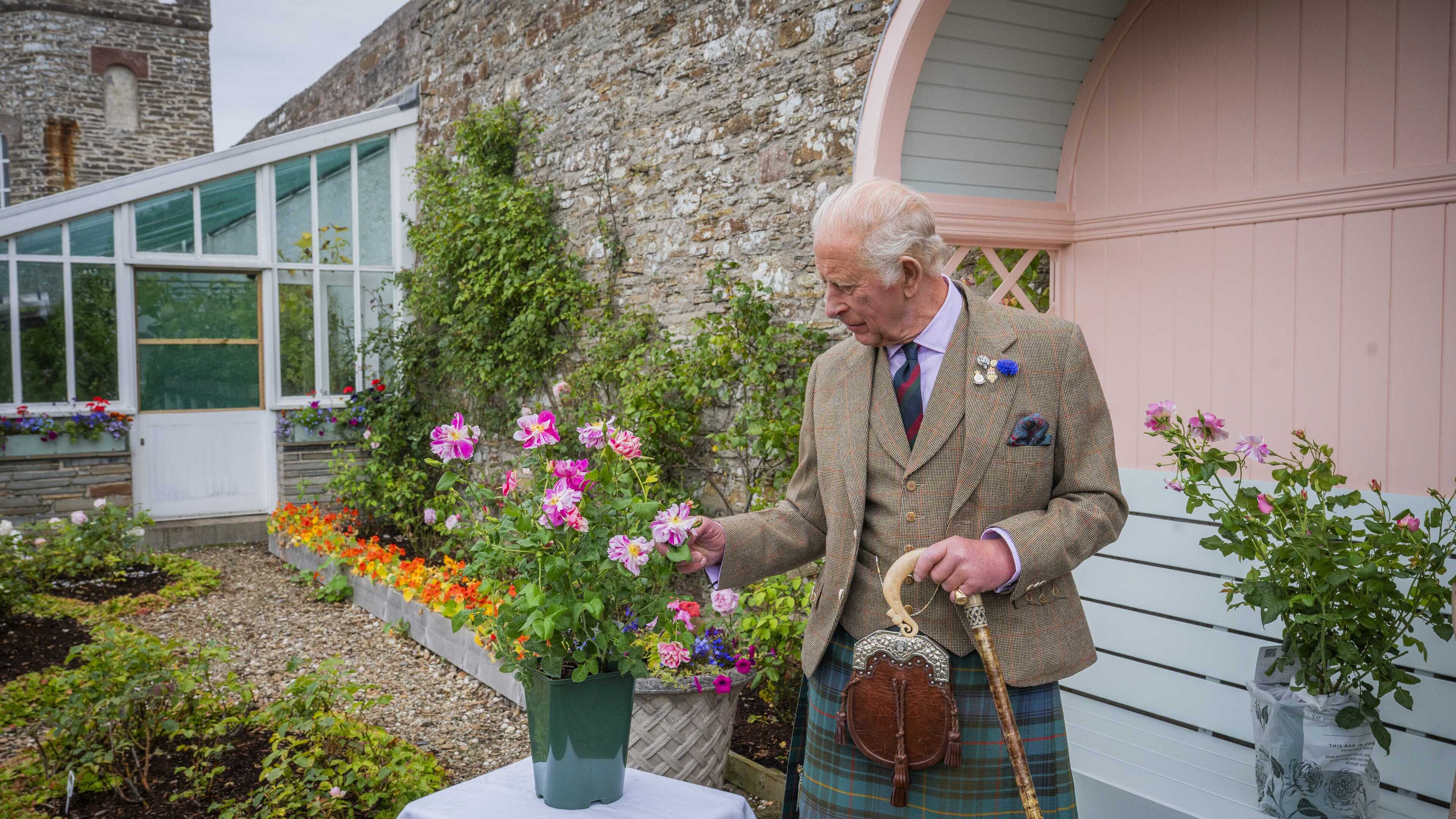 King plants royal rose as he begins summer break in Scotland