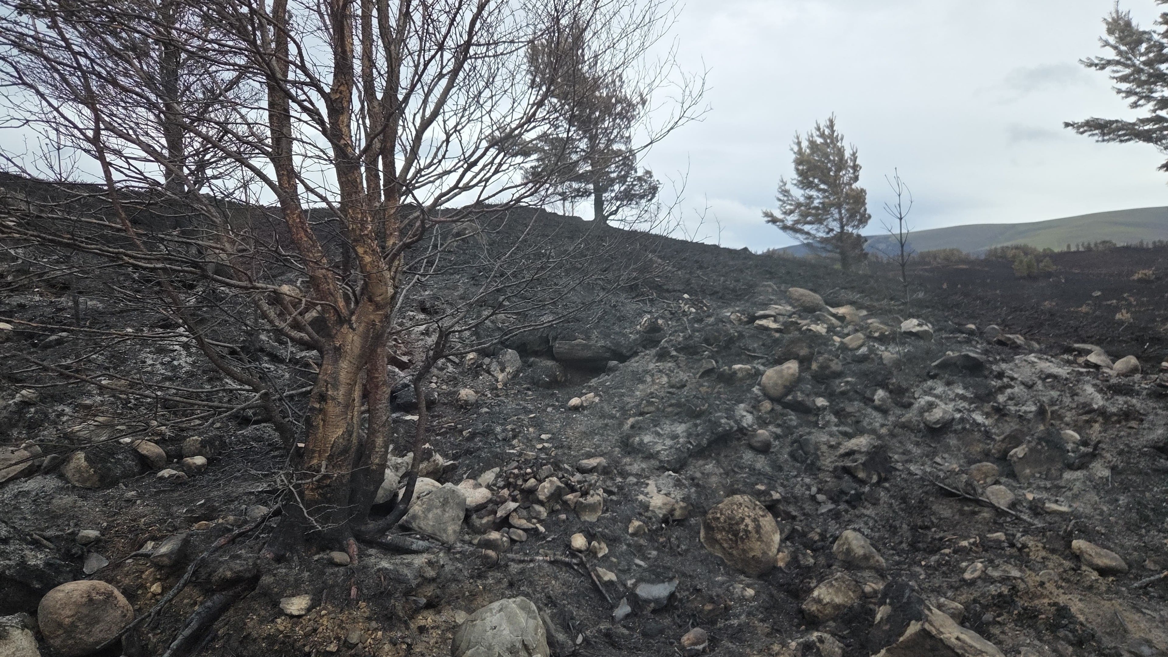 Scotland issues wildfire warning urging public to use extreme caution