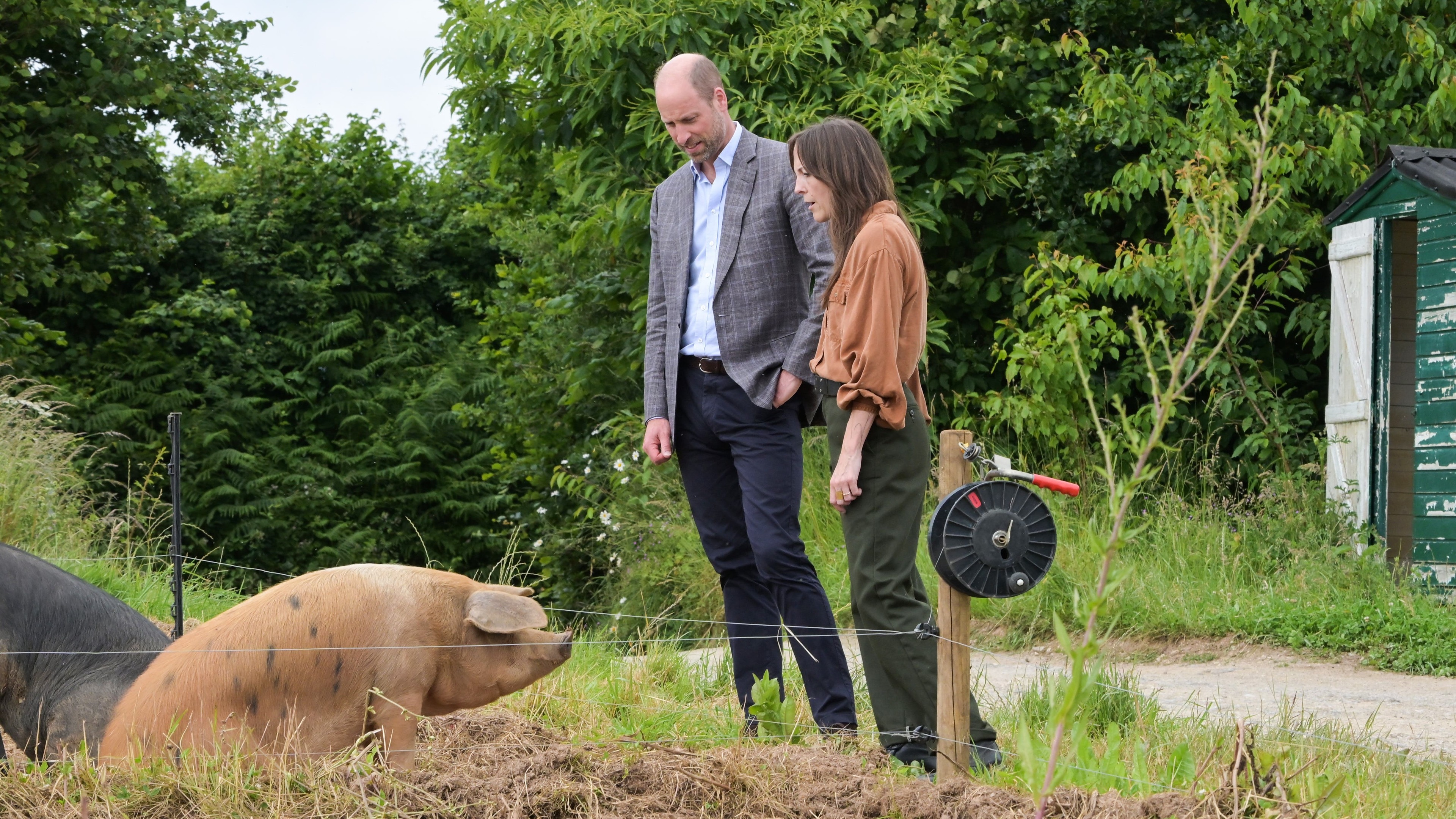 Prince William meets pig called Ginger Spice during Devon farm visit