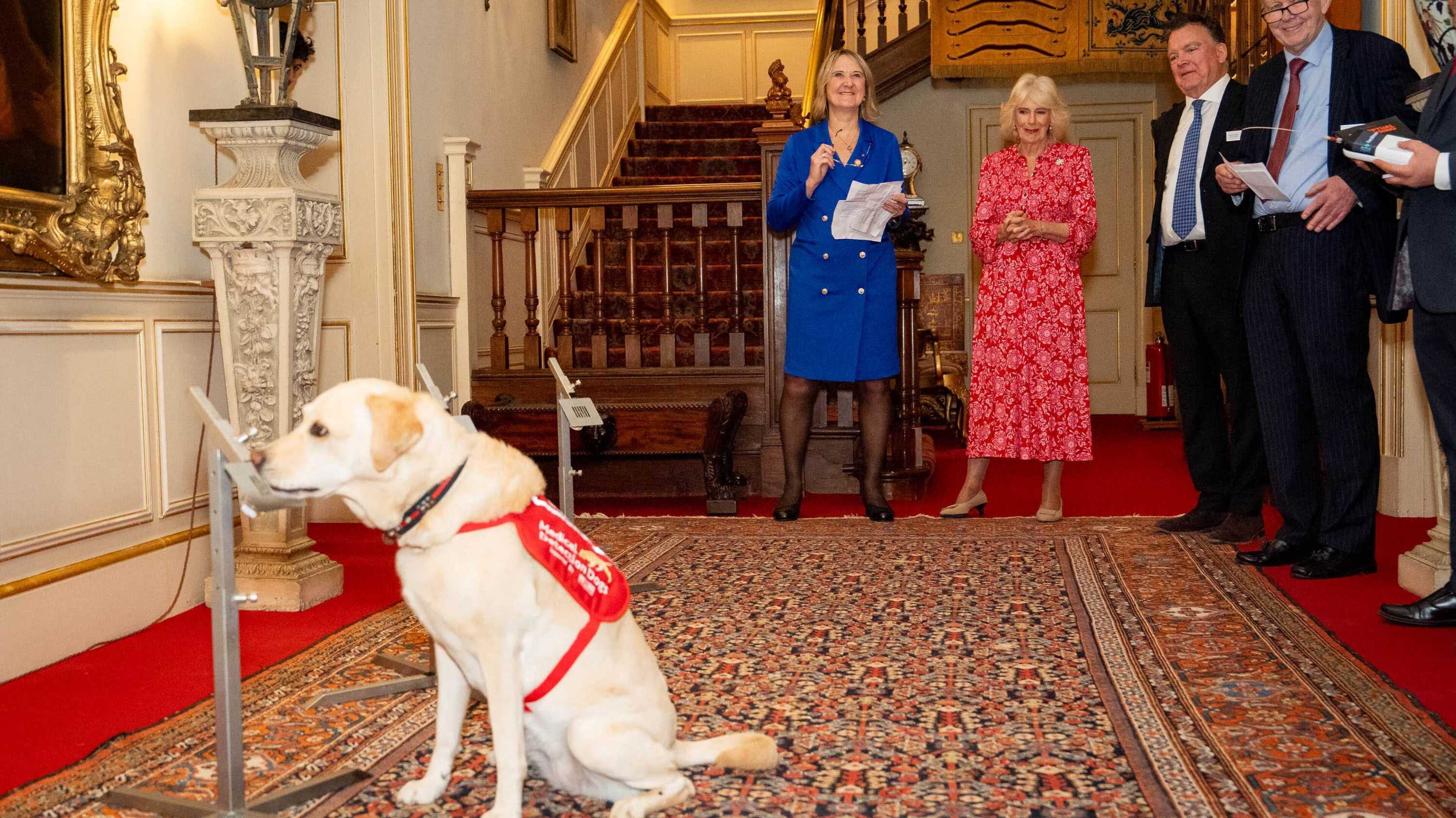 Queen says Clarence House will become a “second home” for cancer-detecting dogs