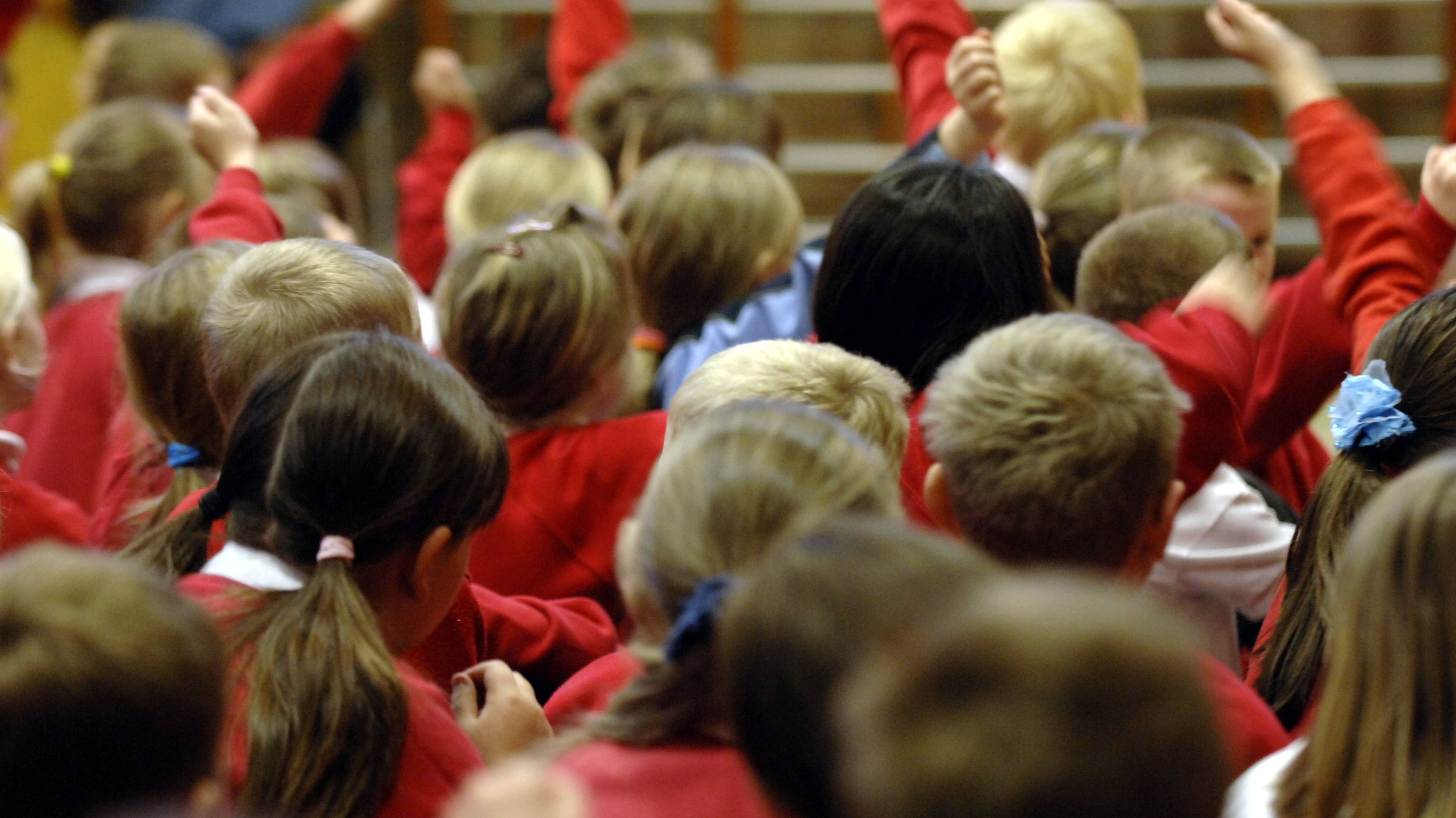 Primary school pupil numbers fall more than 10% in some areas since 2020