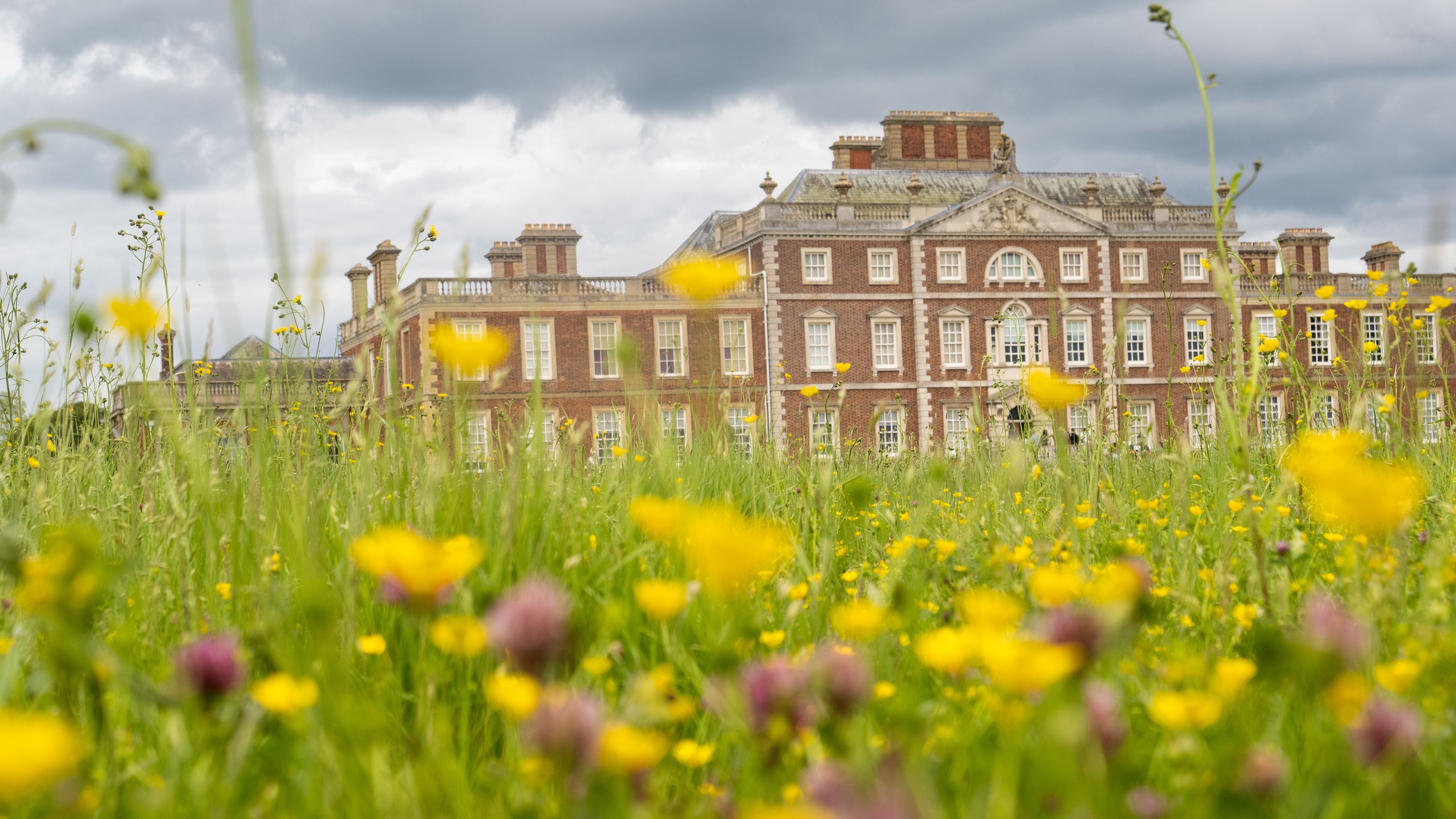 Wildlife bucks challenges with 5,000 species recorded at National Trust estate