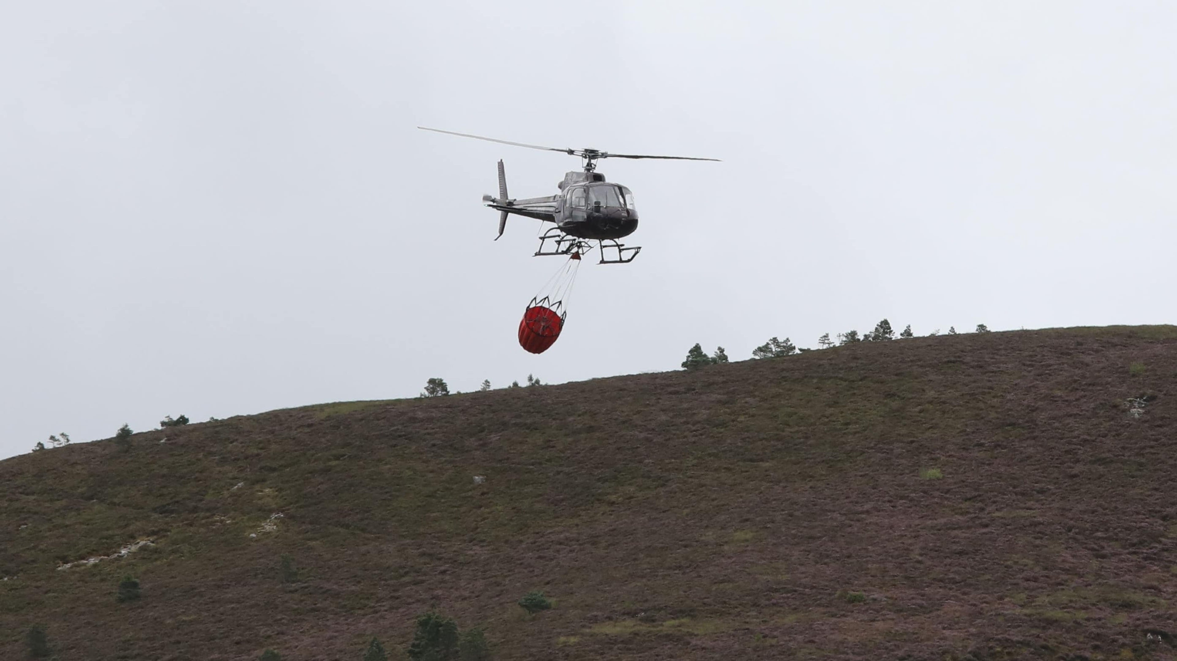 SNP ministers face questions over requests for UK aerial support during wildfire
