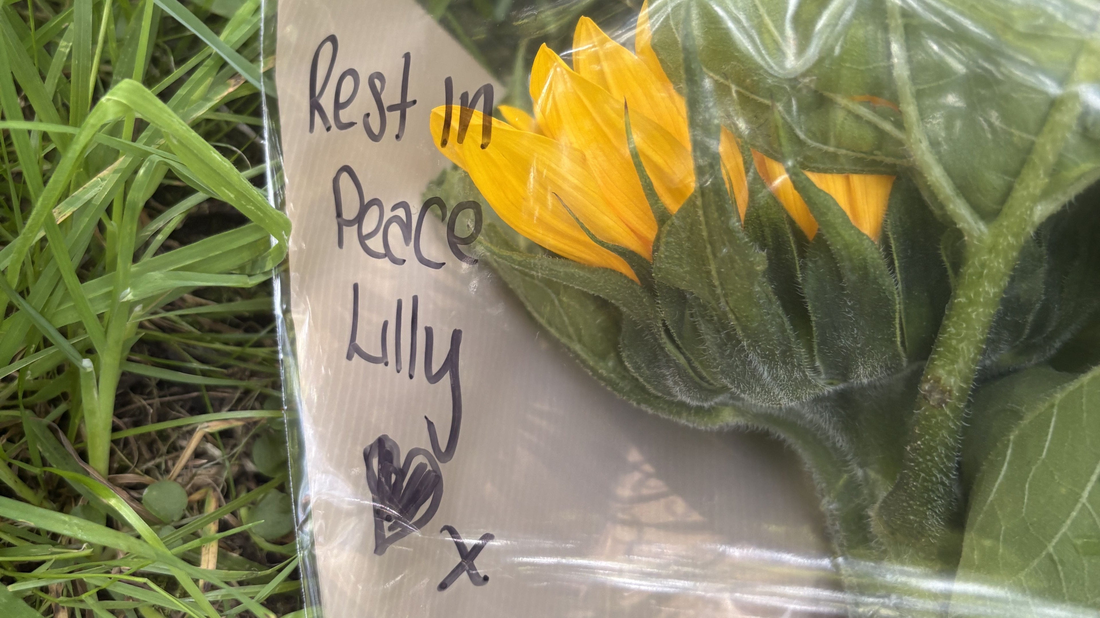 Teenager charged with murder following discovery of missing girl’s body