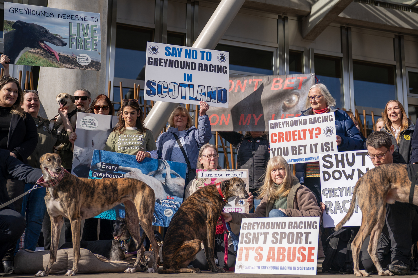 MSPs vote on greyhound racing ban a day after Senedd approves move ...