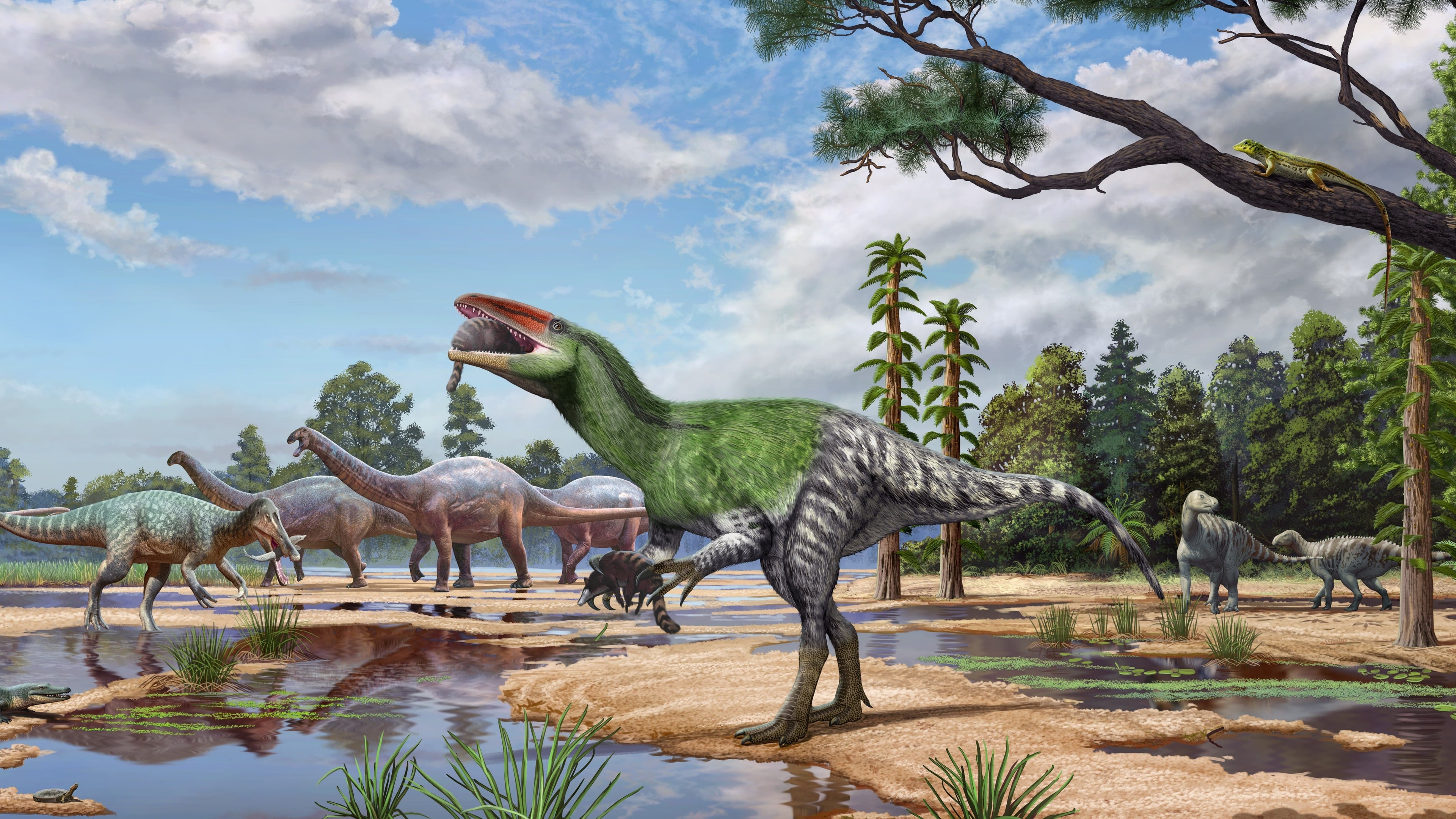 New species of dinosaur discovered from fossil ‘overlooked’ for over 100 years