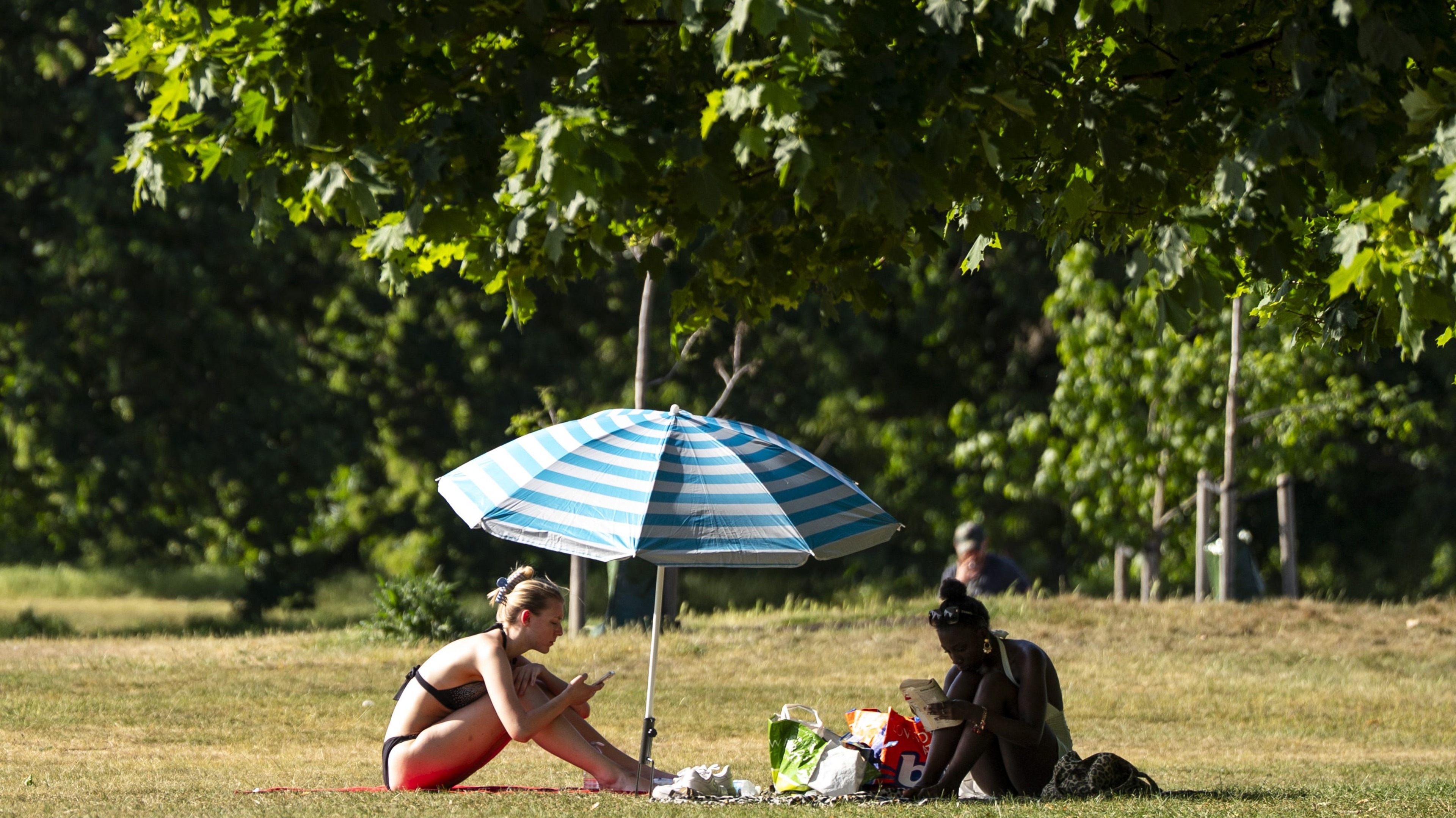 NHS website traffic surges as people search for heatwave and sun-safety advice