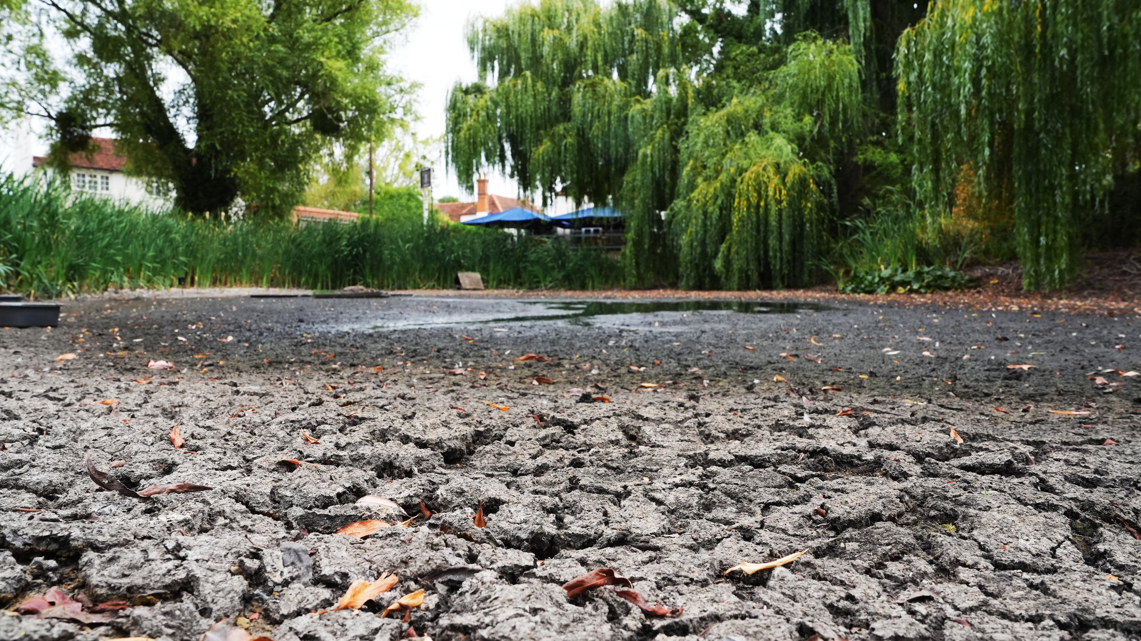 Heavy rain forecast after another hosepipe ban, raising flood risk