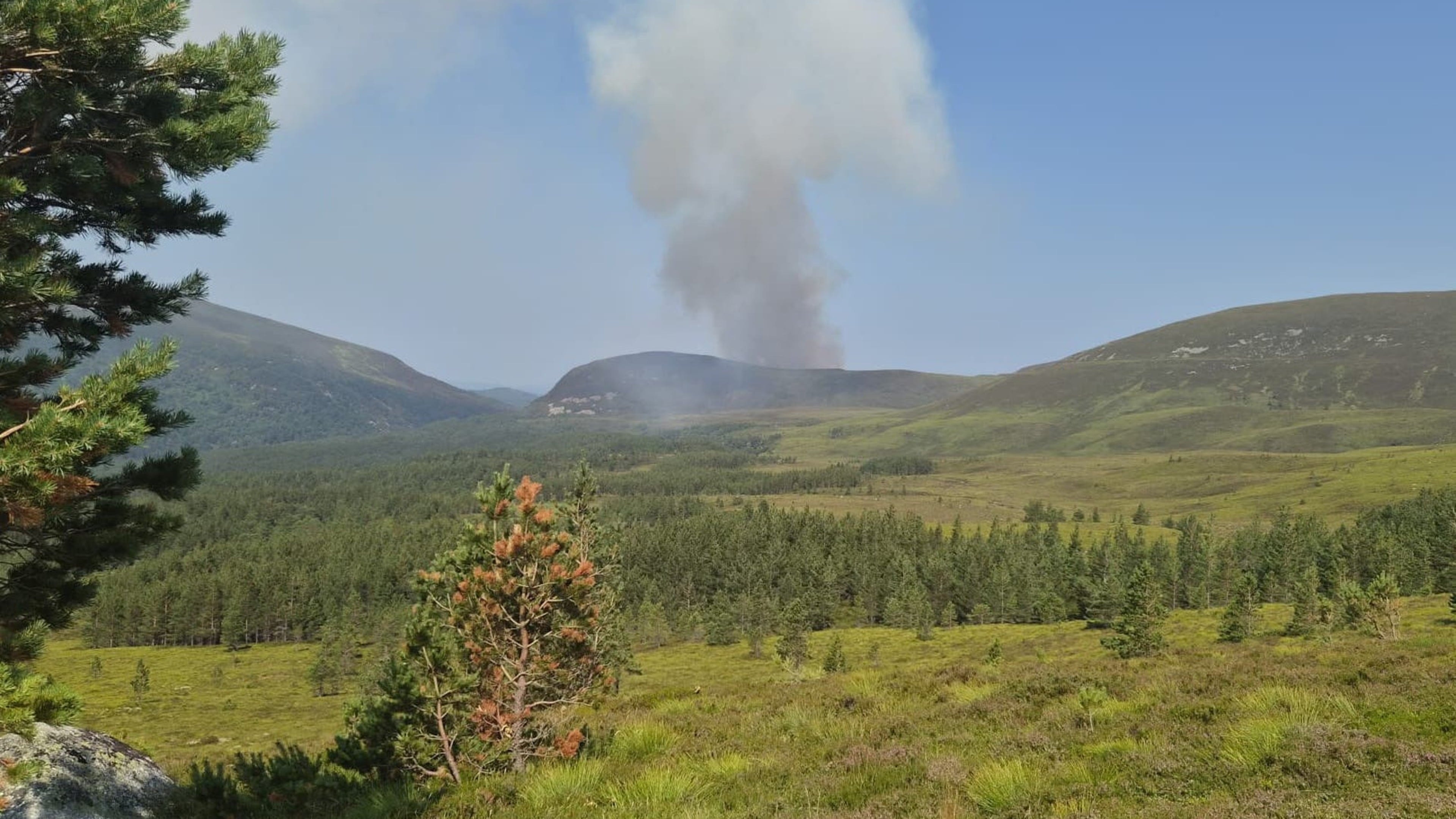 Firefighters tackle wildfire in the Cairngorms overnight, with evacuations reported