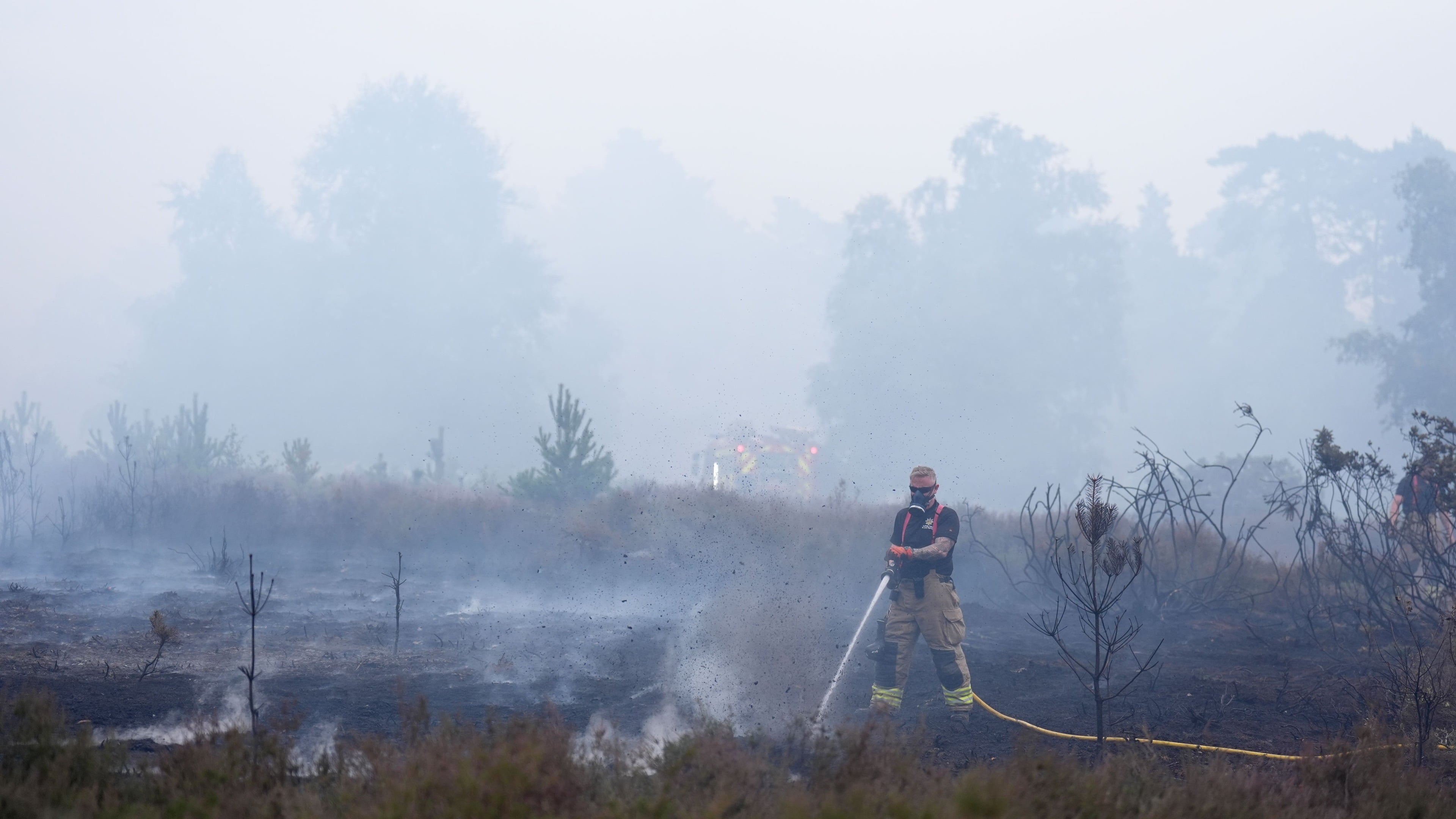 National Trust launches appeal after wildfire damages Suffolk heathland reserve
