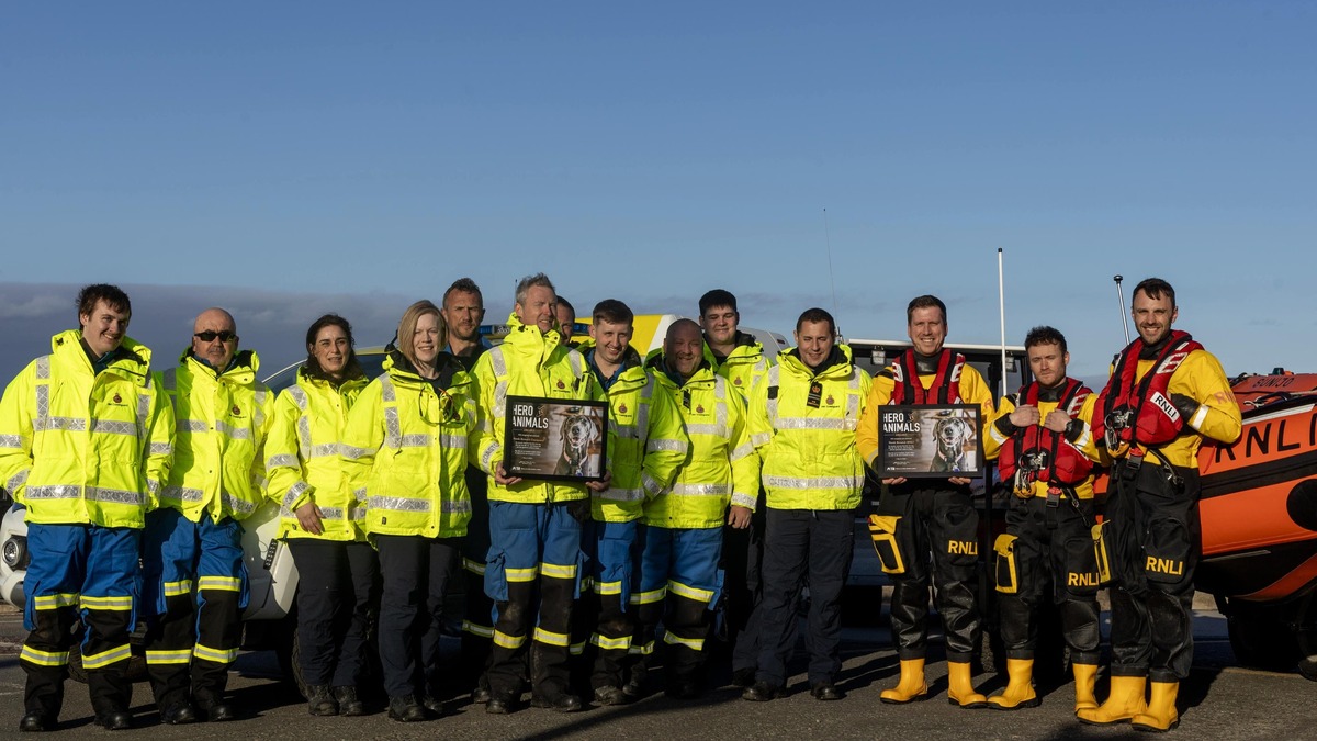 ‘Hero’ award for lifeboat crew who rescued dog after sea fall | Belfast ...
