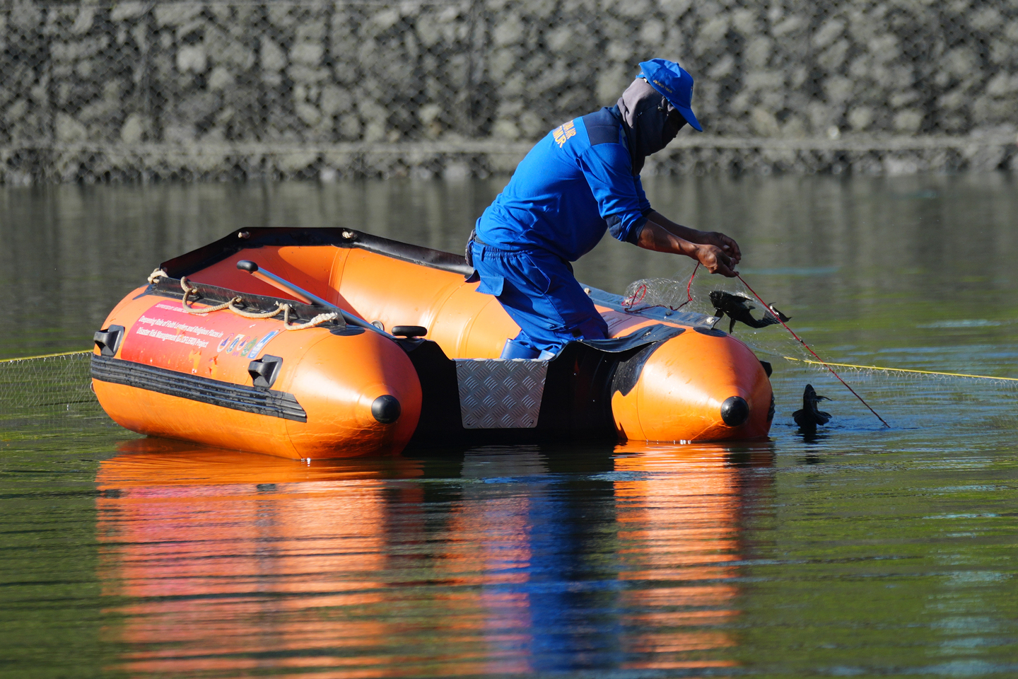 Mass removal of invasive ‘janitor fish’ in Indonesia’s capital ...