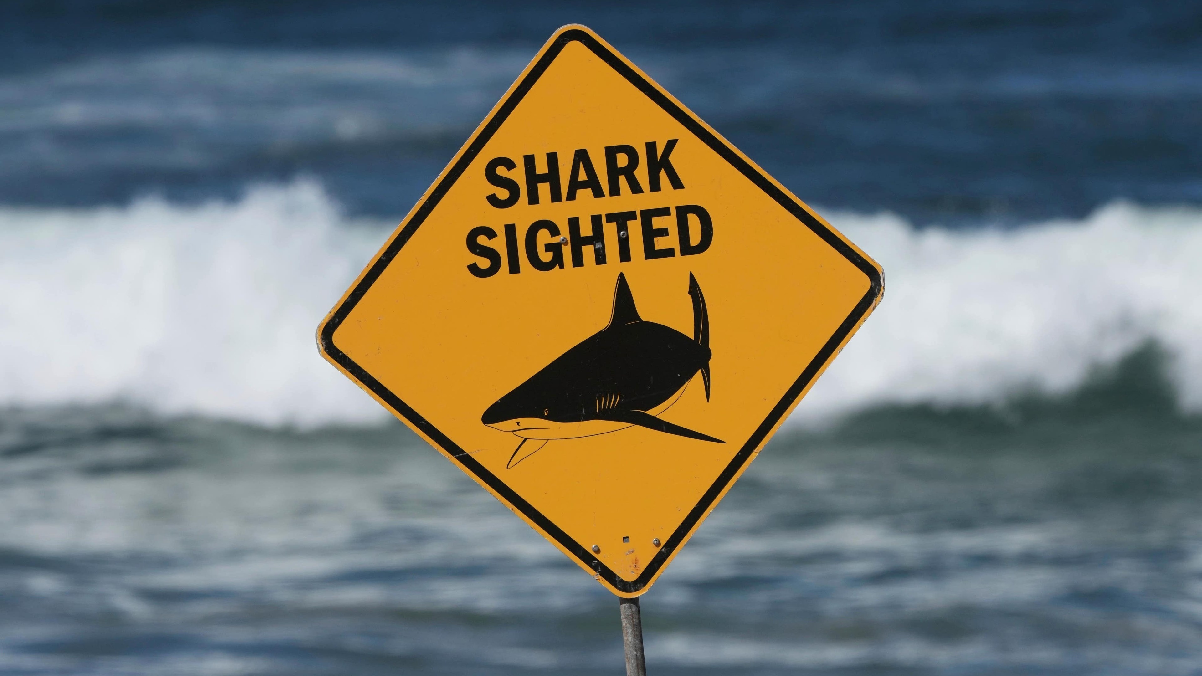 Spearfisher killed in shark attack on Australia’s Great Barrier Reef