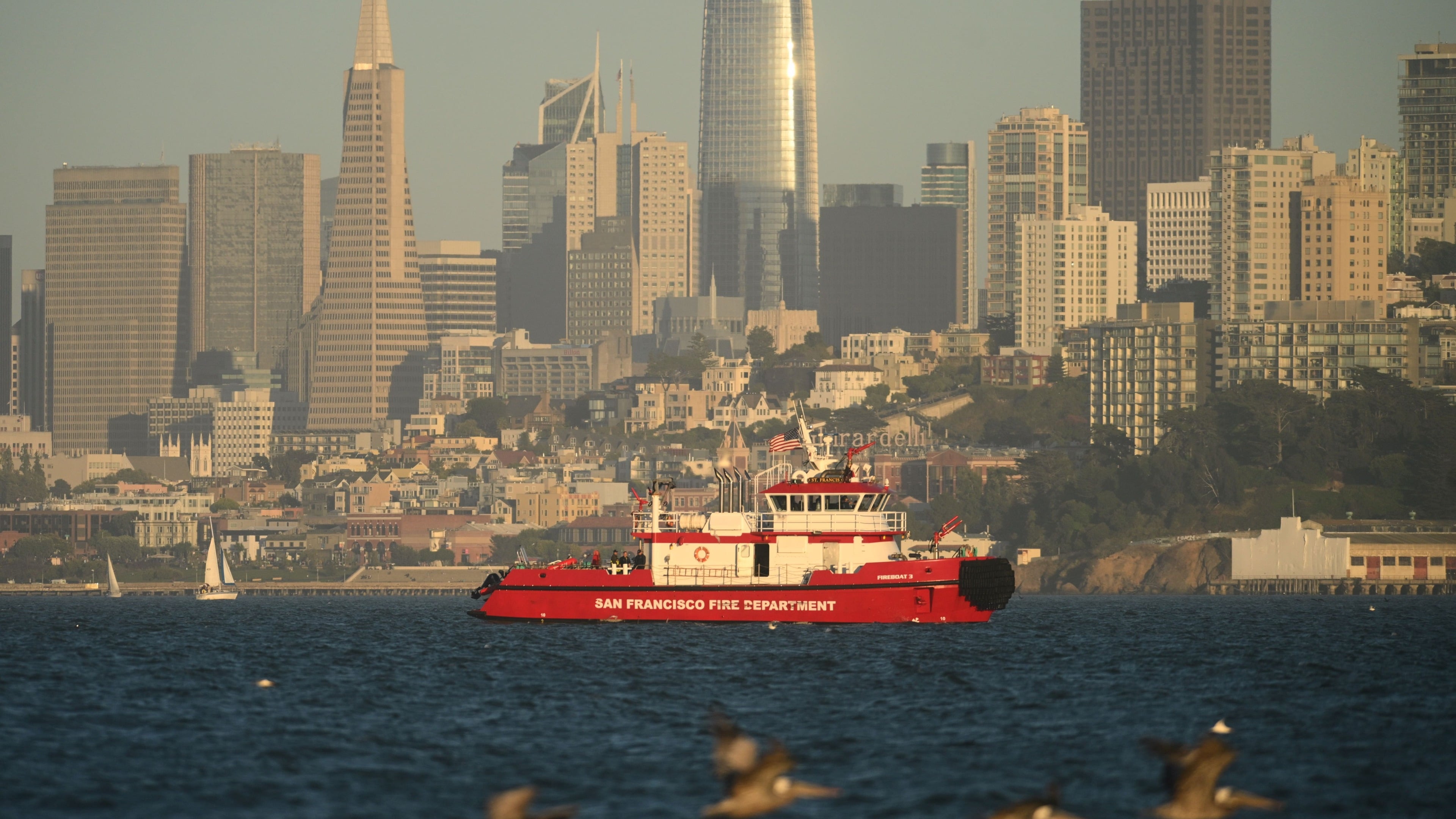 Three missing after boat sinks in San Francisco Bay near Alcatraz; one dead