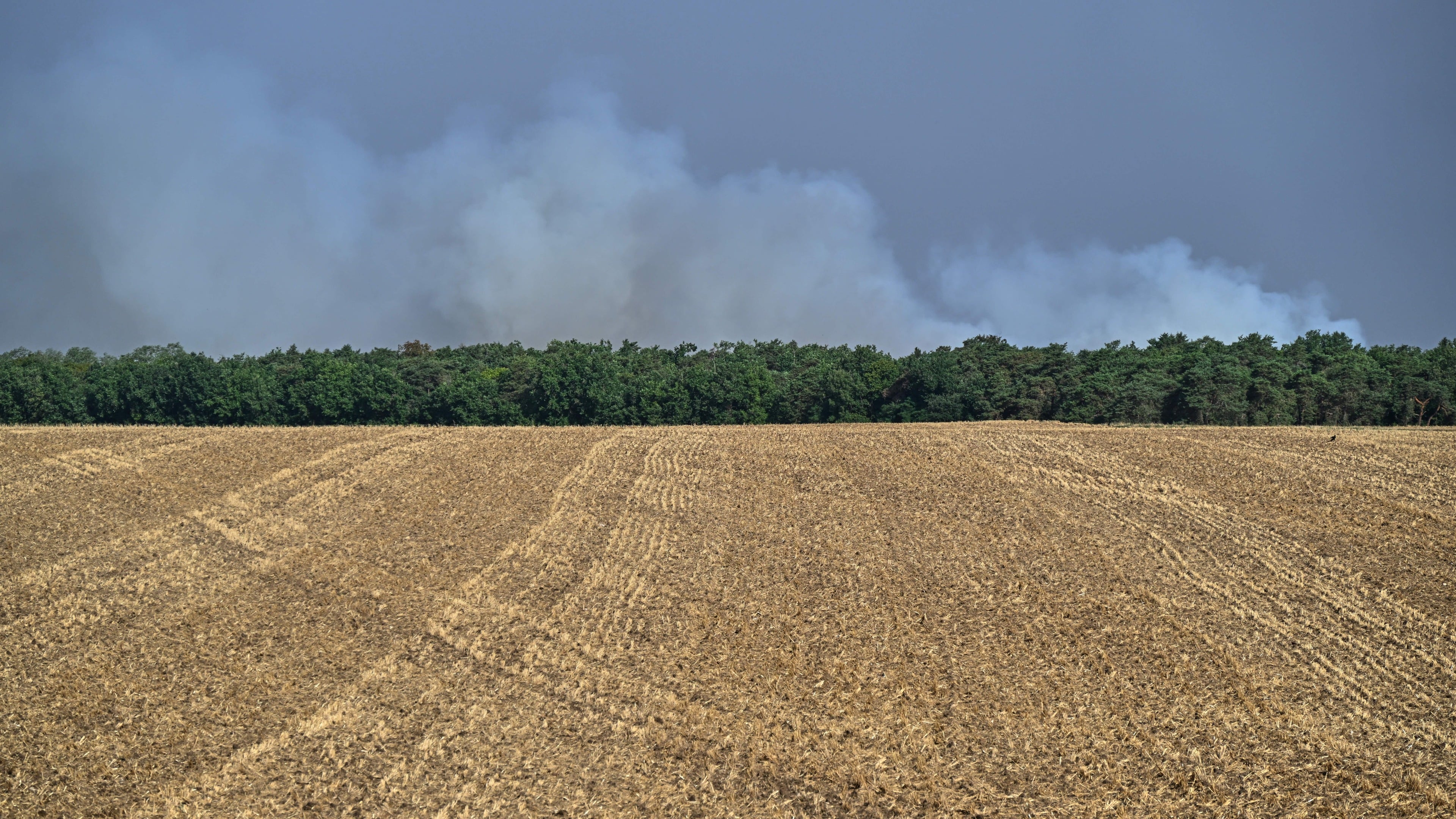 Fire in Fontainebleau forest south of Paris prompts evacuations, disrupts transport