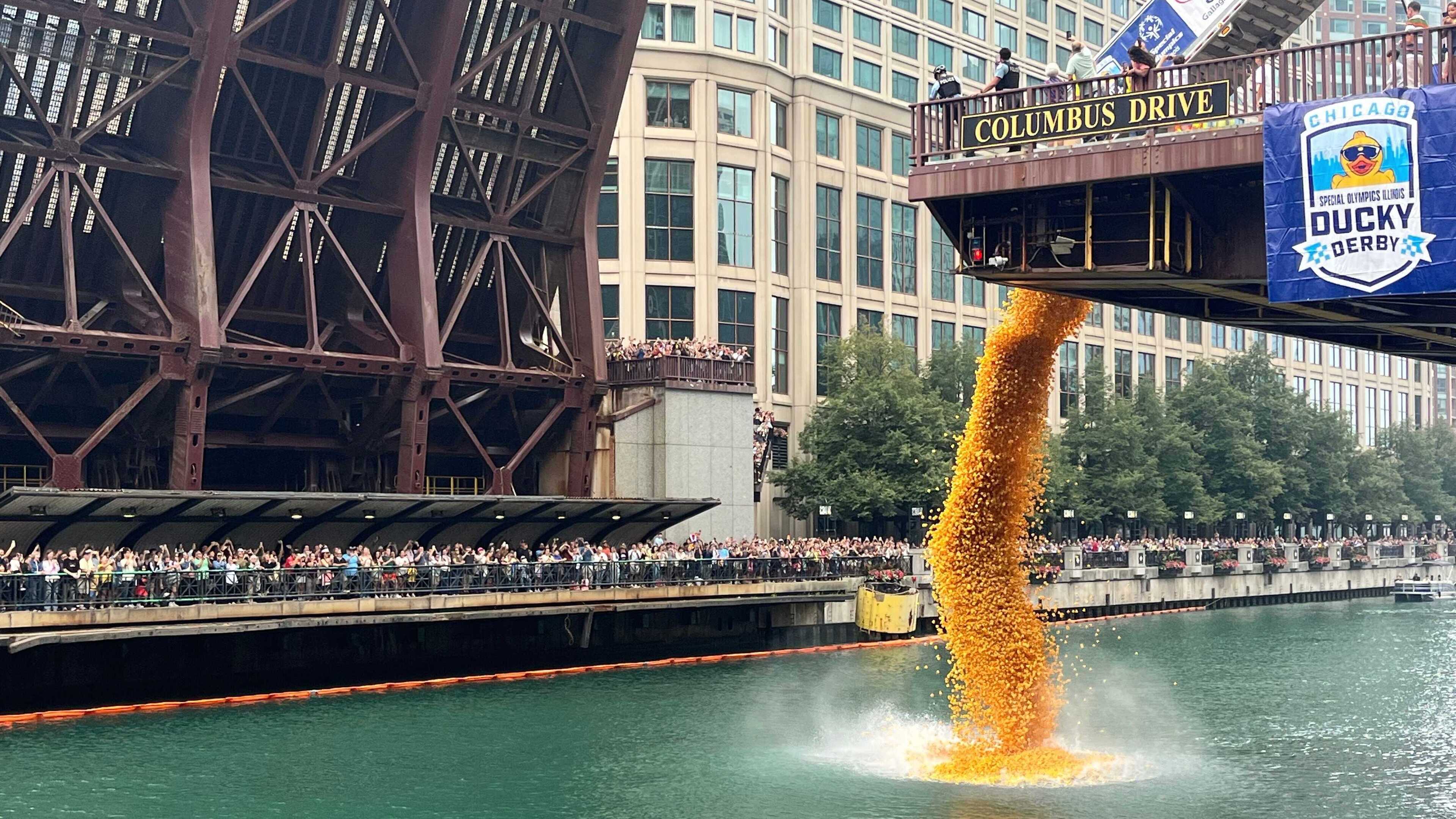90,000 rubber ducks race in Chicago River for annual Special Olympics fundraiser