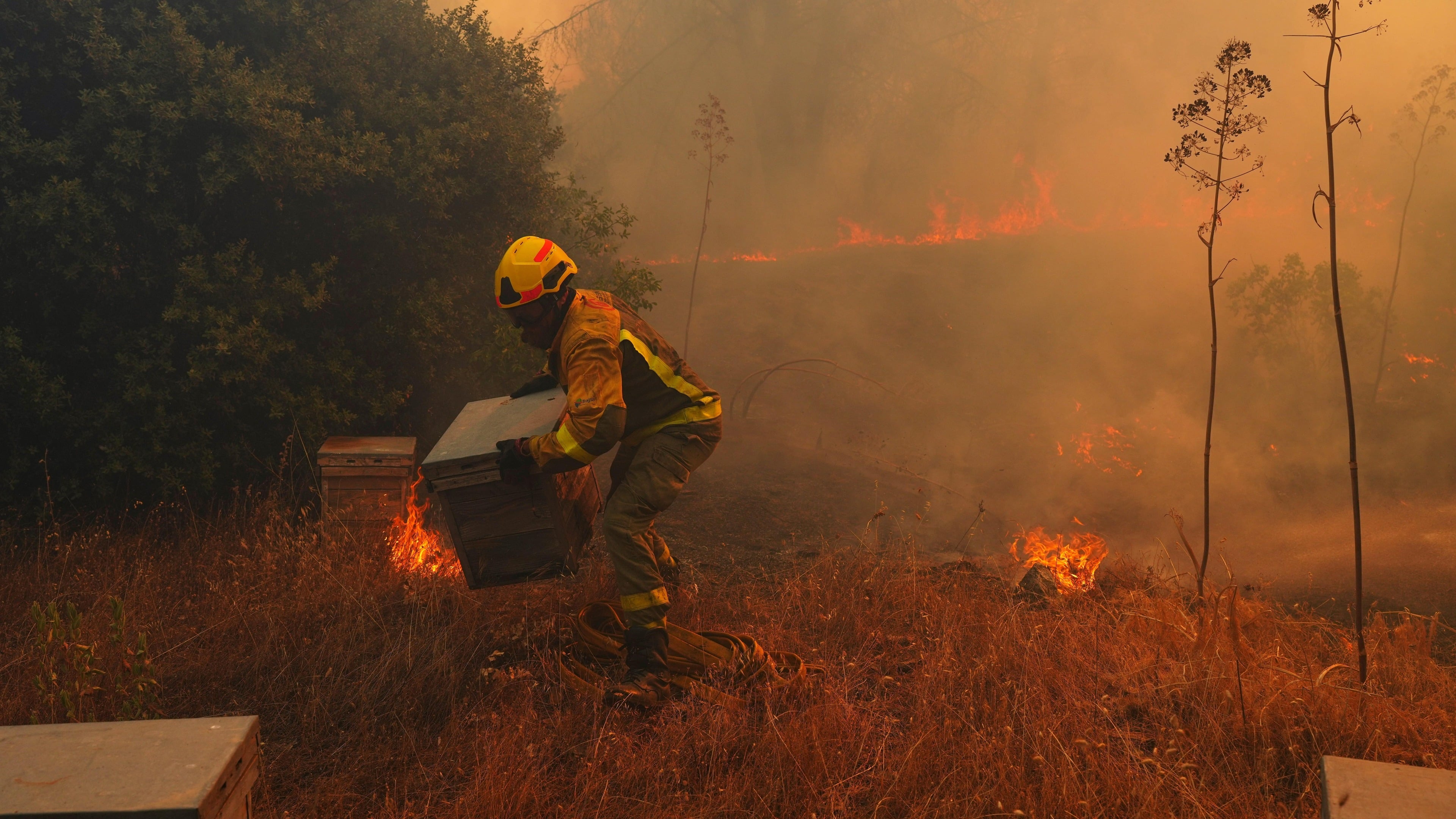 UN and scientists warn strong El Niño will intensify global weather extremes