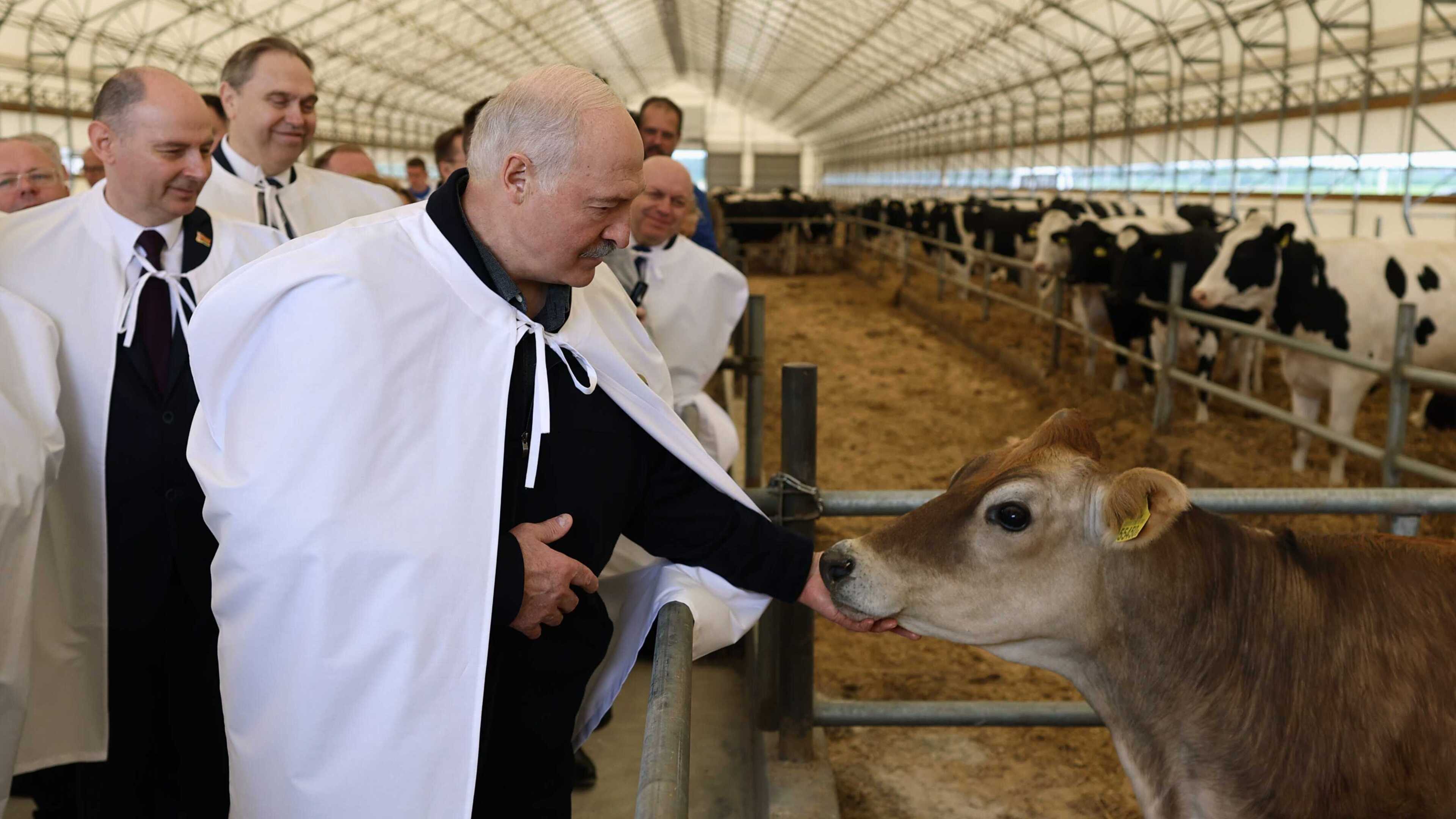 Lukashenko pardons 28 political prisoners in bid to improve ties with the West