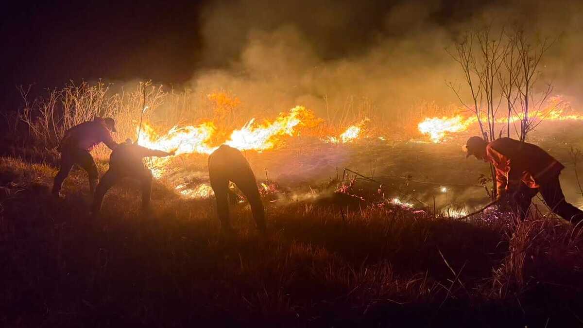 Indonesia battles growing wildfires as Mount Bromo blaze spreads ...