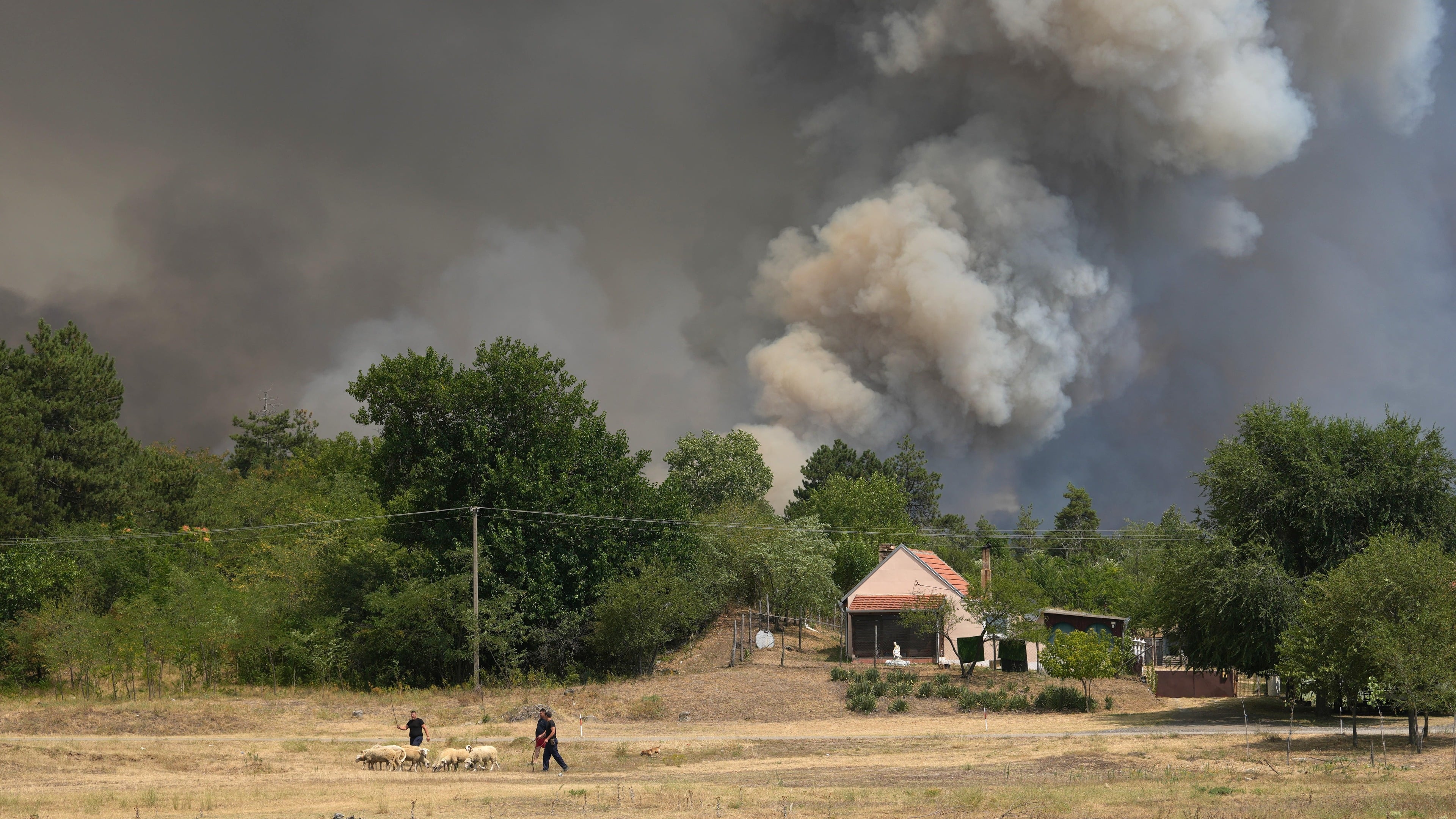 Serbia responds to wildfires amid Europe’s heatwave affecting the Balkans