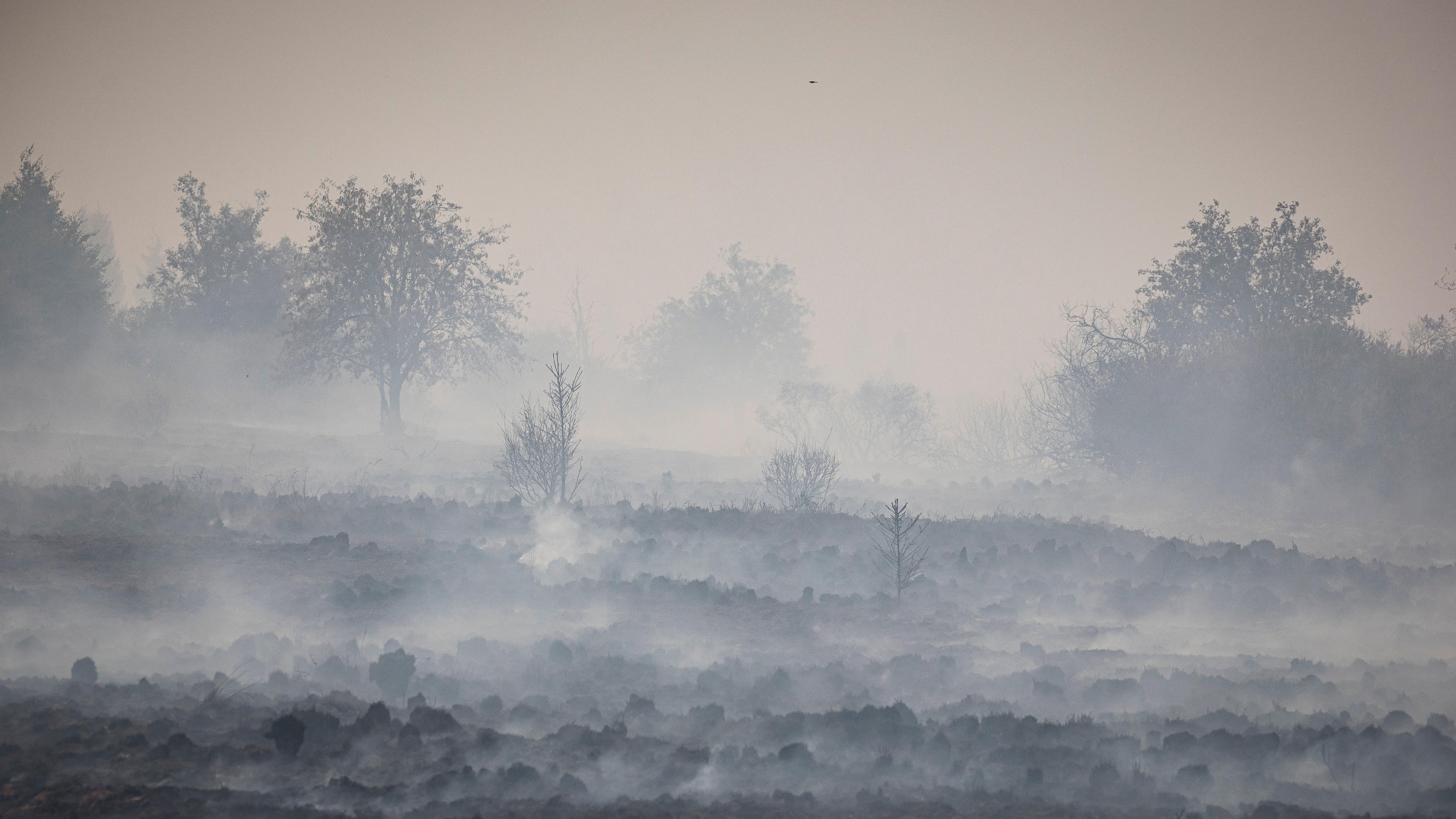Belgium fights major wildfire as Greece investigates deadly blaze