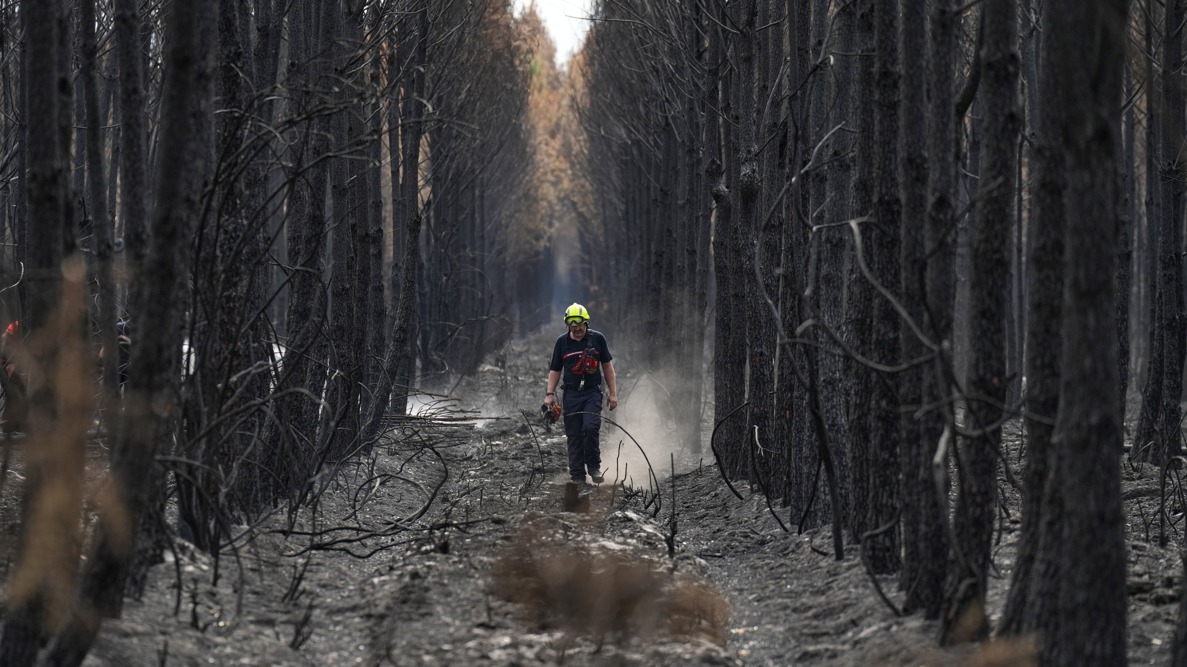 French wildfire near Bordeaux contained while firefighters tackle blaze in Provence
