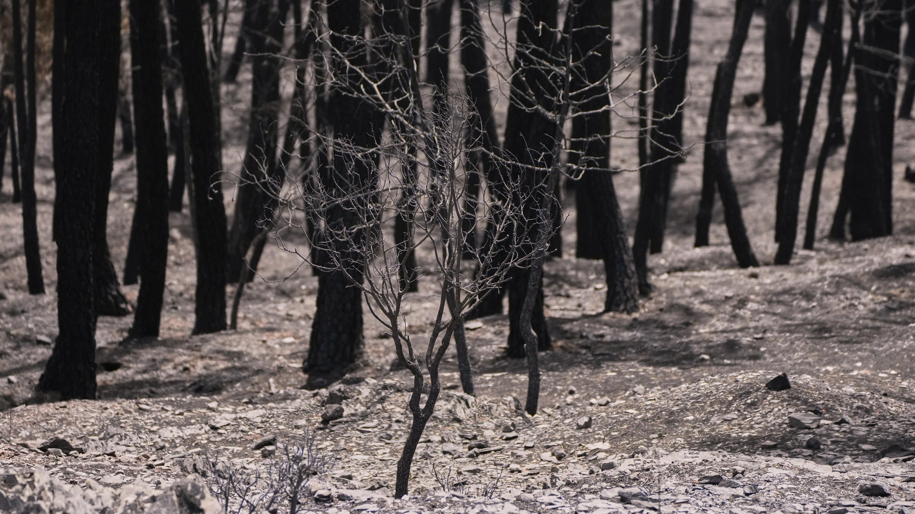 Firefighters in central Spain battle large wildfire during heat wave