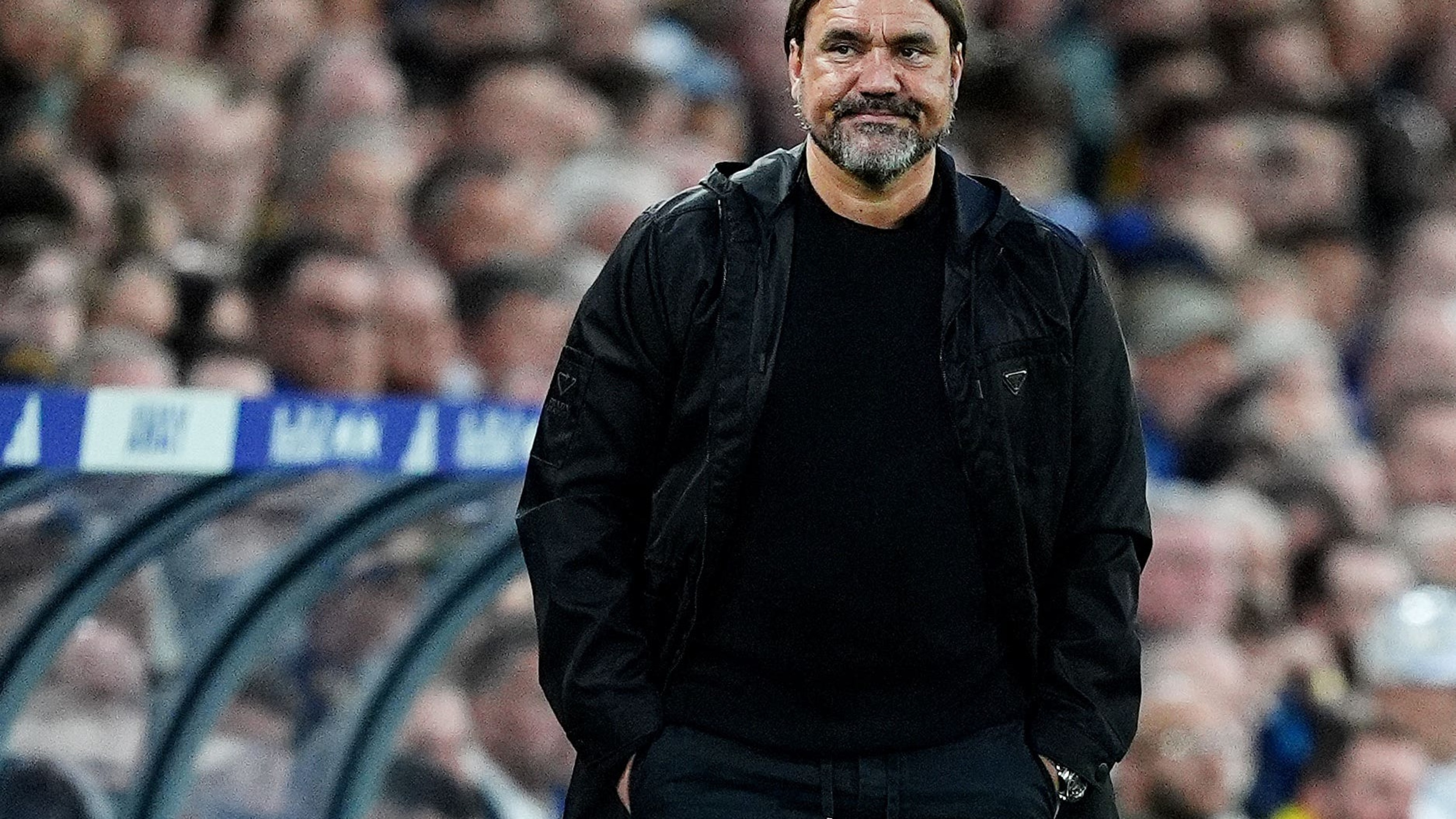 Daniel Farke not ready to celebrate survival as Leeds move nine points clear